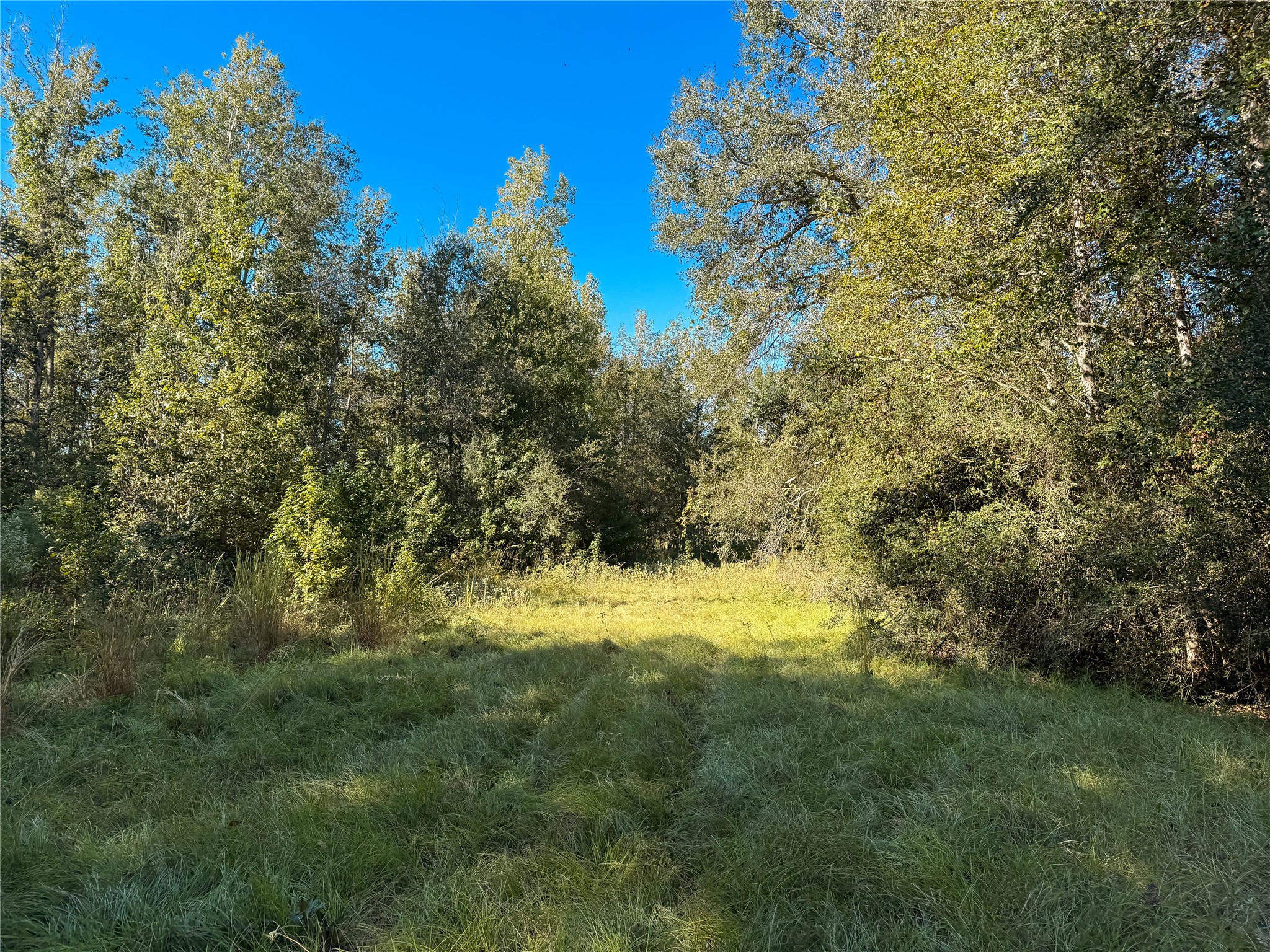 Tbd A Pr 2150 Property Photo 4