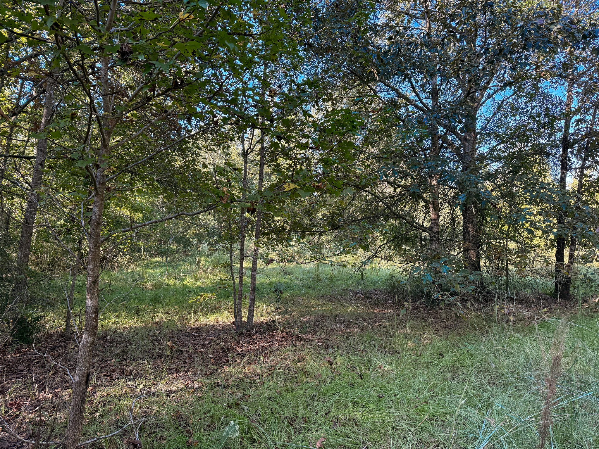 Tbd A Pr 2150 Property Photo 5