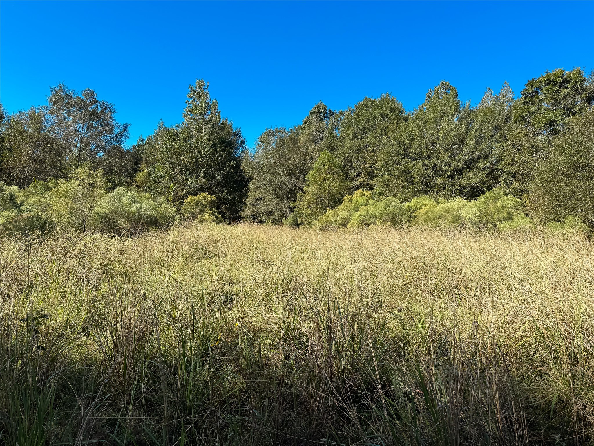 Tbd A Pr 2150 Property Photo 6