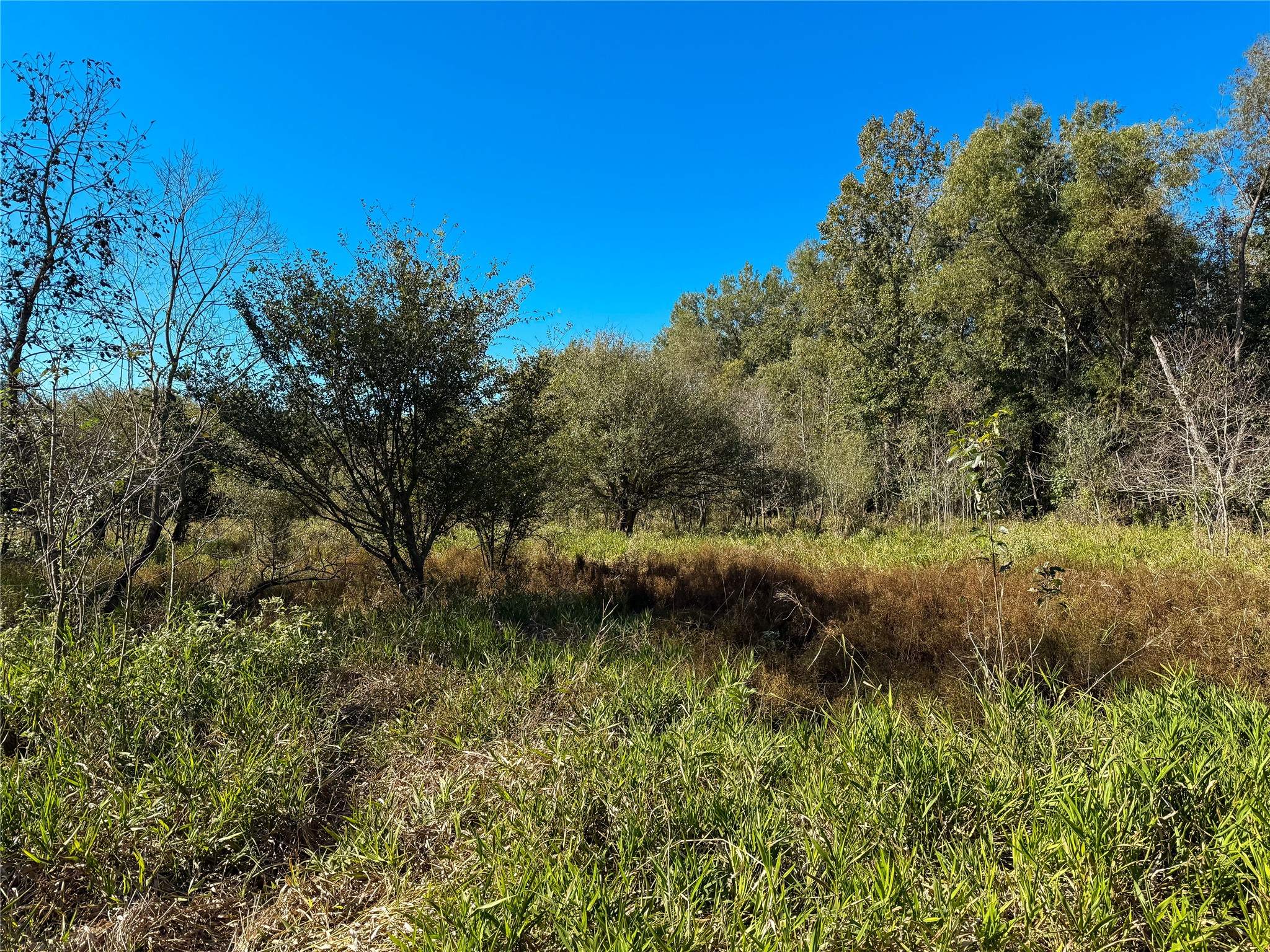 Tbd A Pr 2150 Property Photo 7