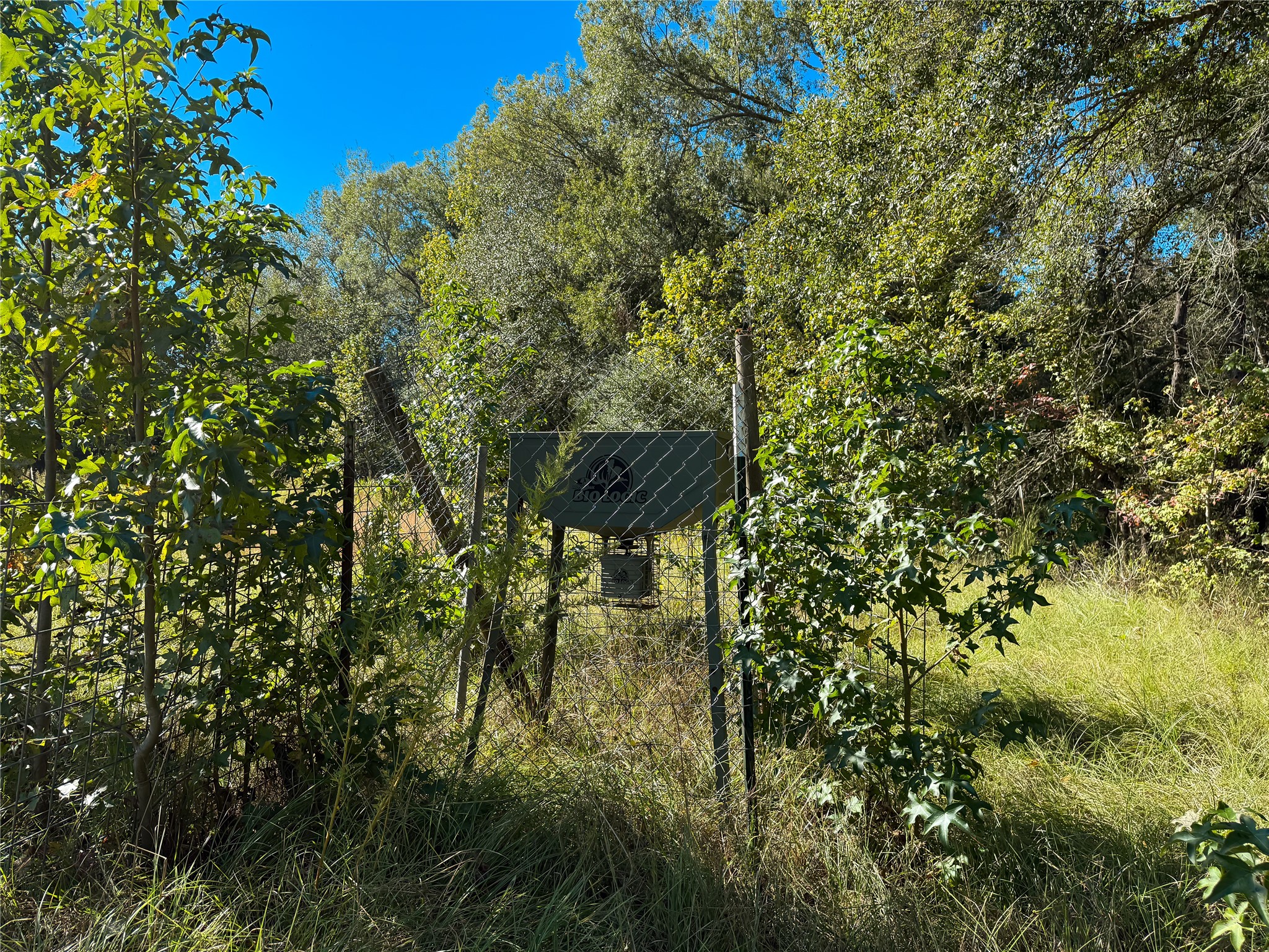 Tbd A Pr 2150 Property Photo 8