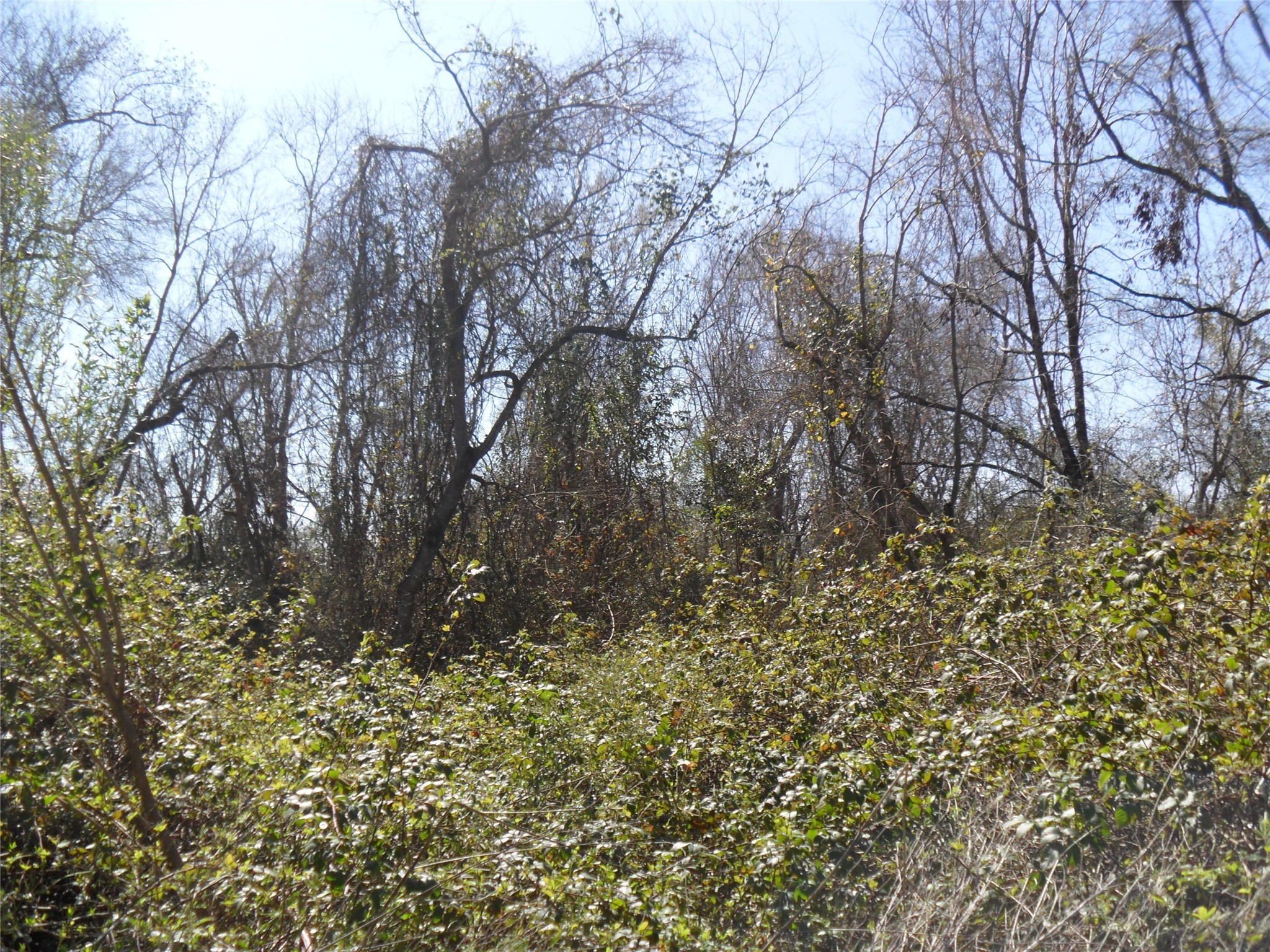 0 S Donaldson Property Photo 2