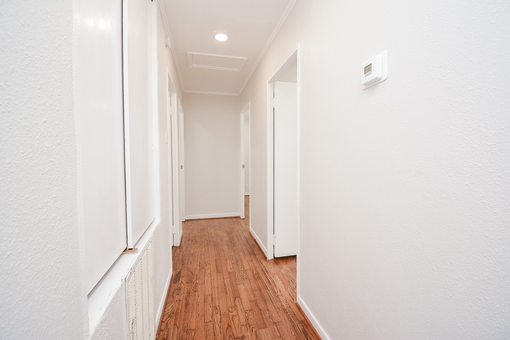 5006 Libbey Lane Property Photo 13