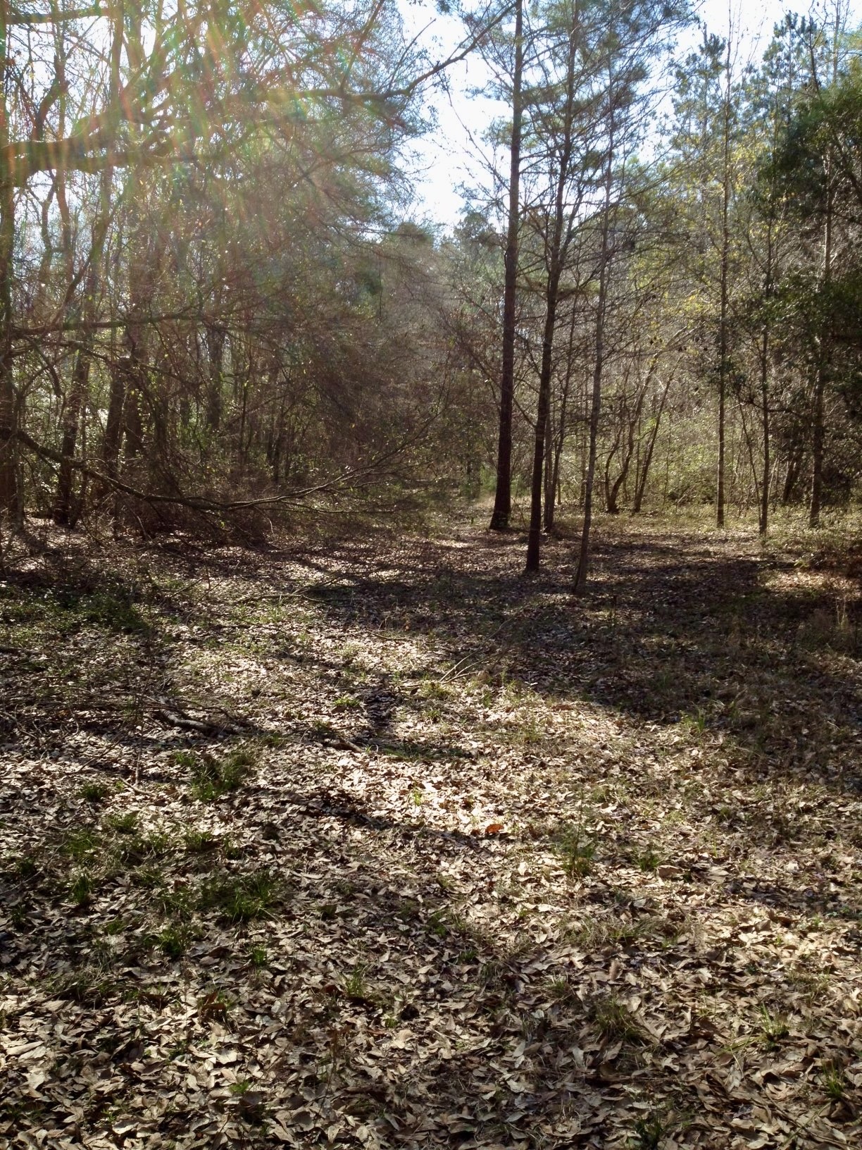 Tbd County Road 3017c Property Photo 4