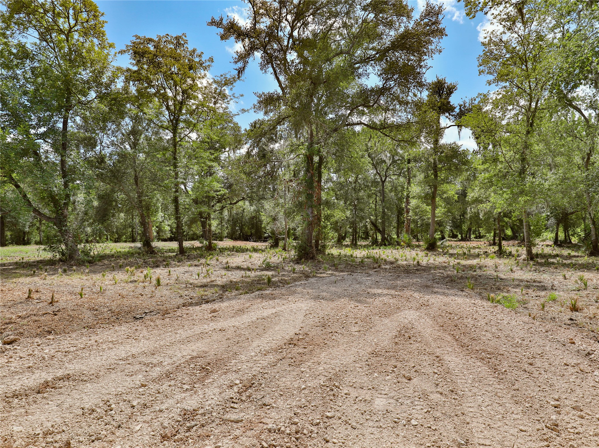 2301 Cr 851 Property Photo 2