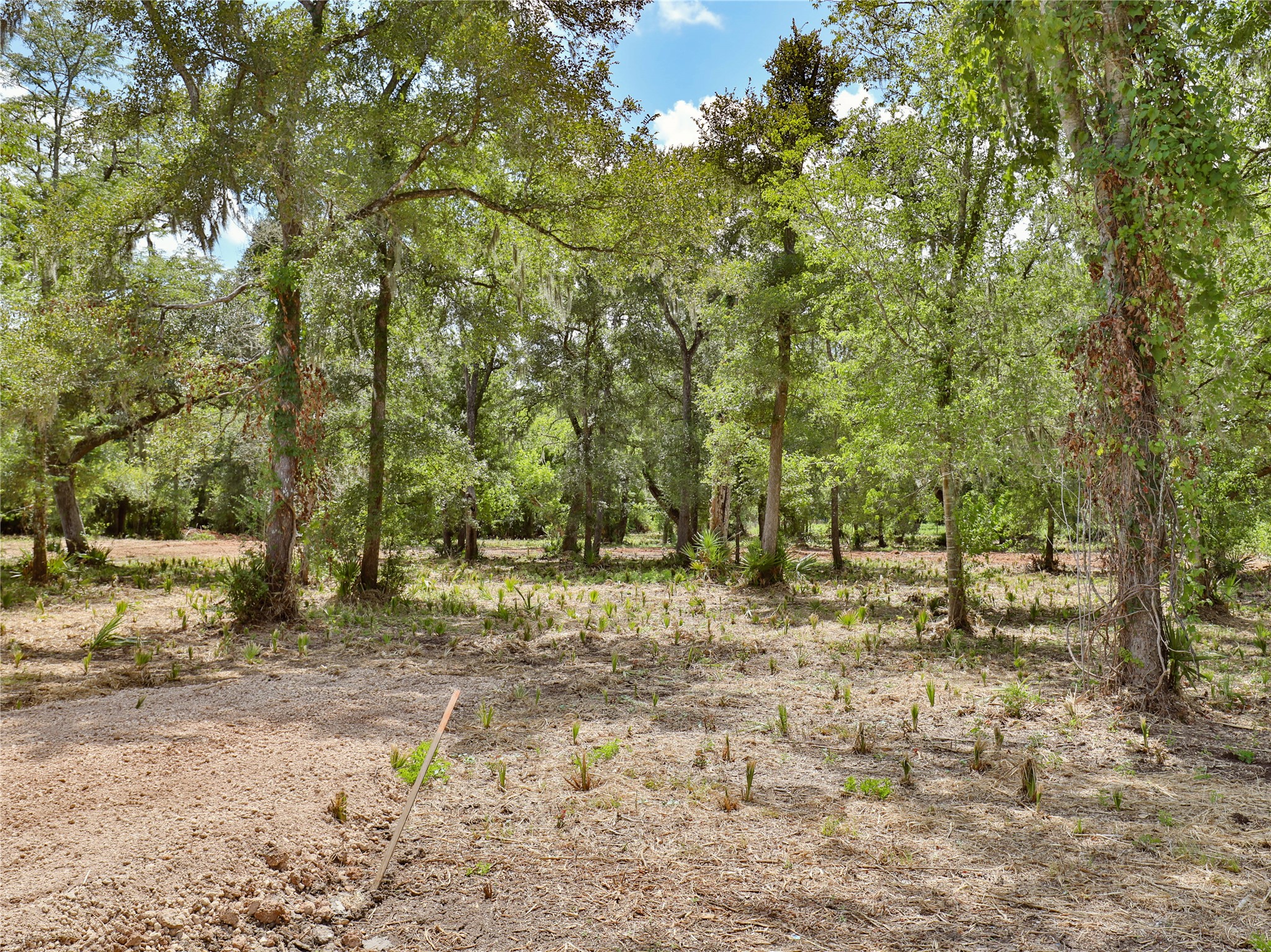 2301 Cr 851 Property Photo 4