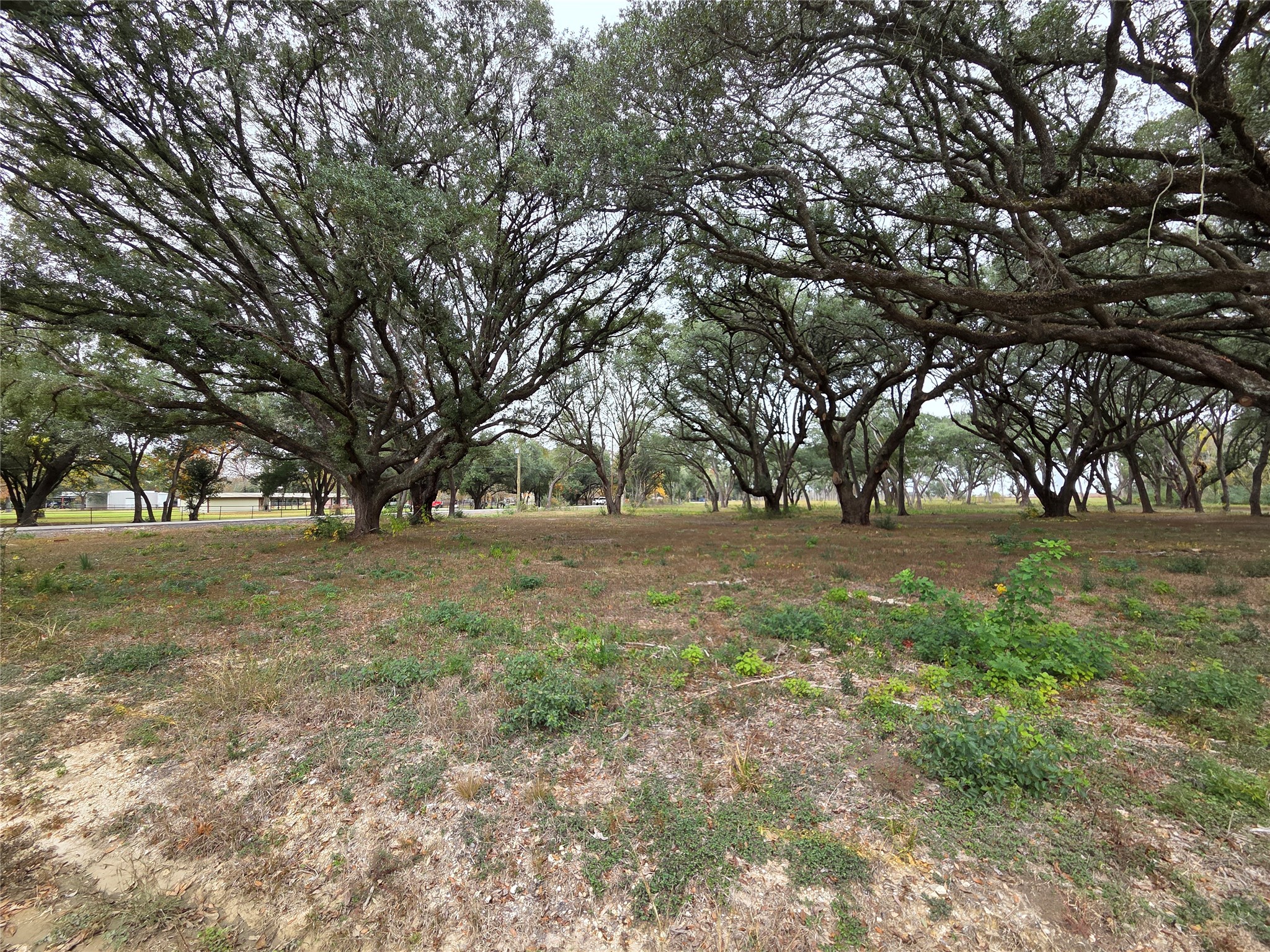 00 Runneburg Road Property Photo 19