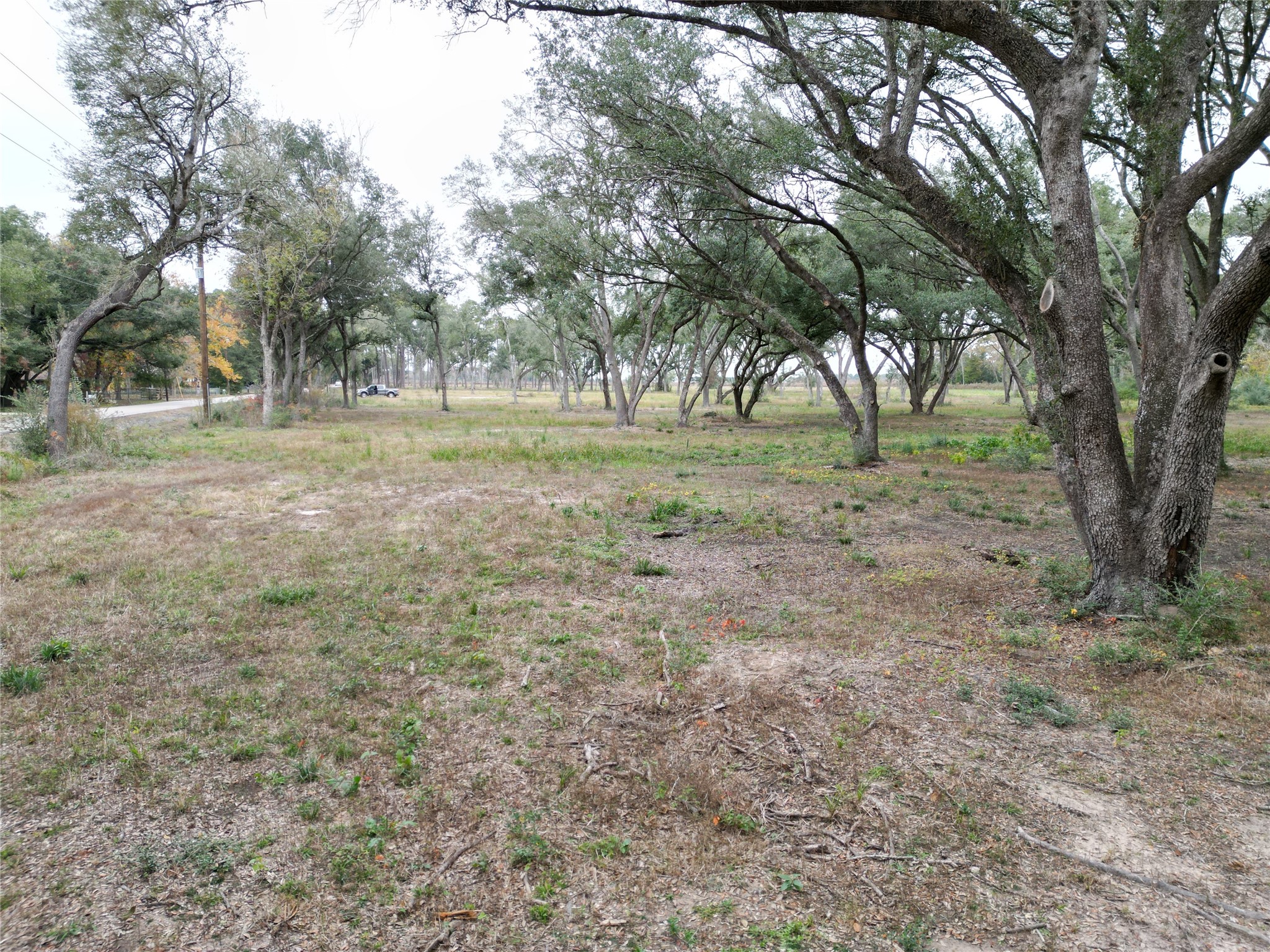 00 Runneburg Road Property Photo 26