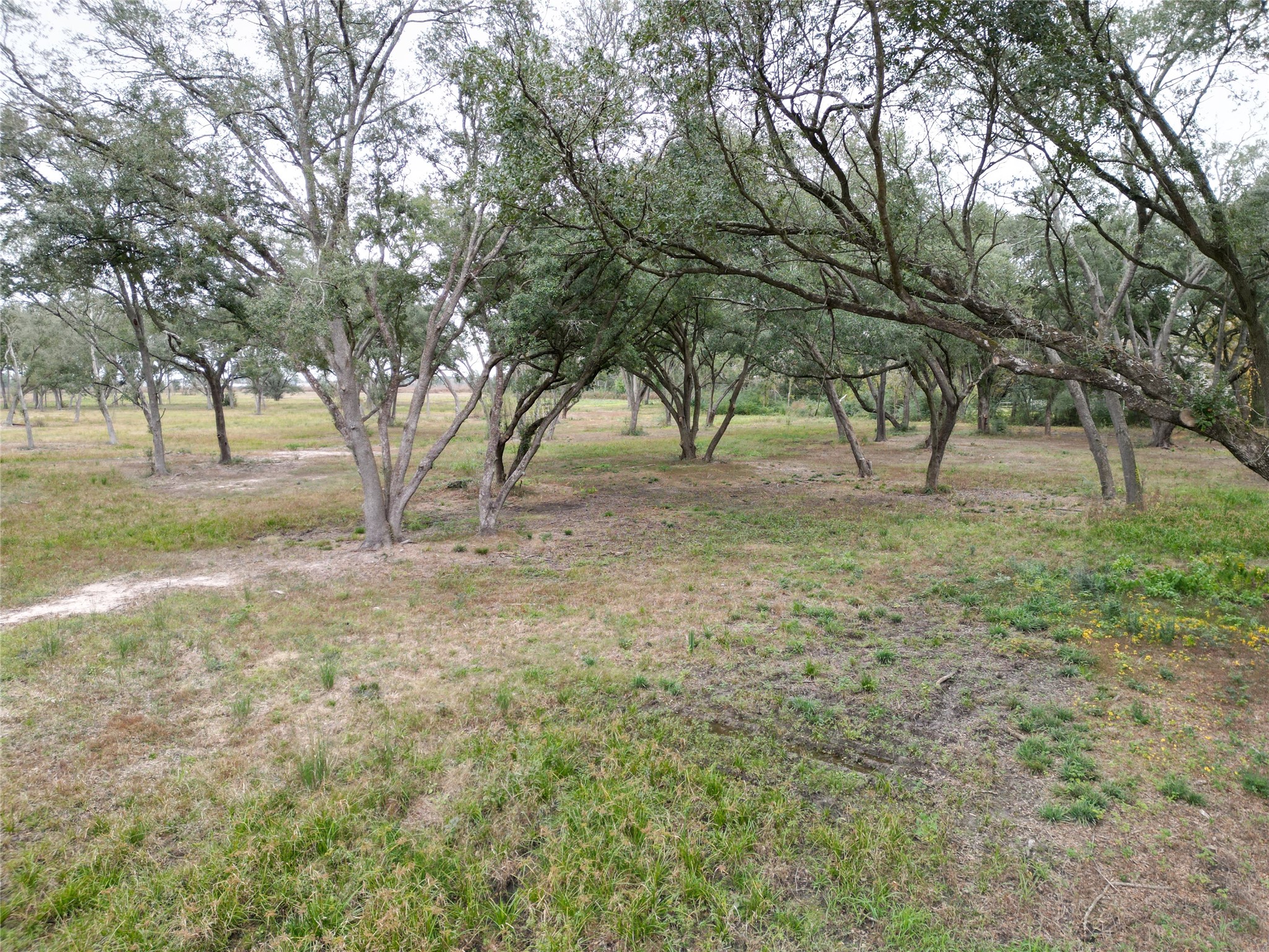 00 Runneburg Road Property Photo 29