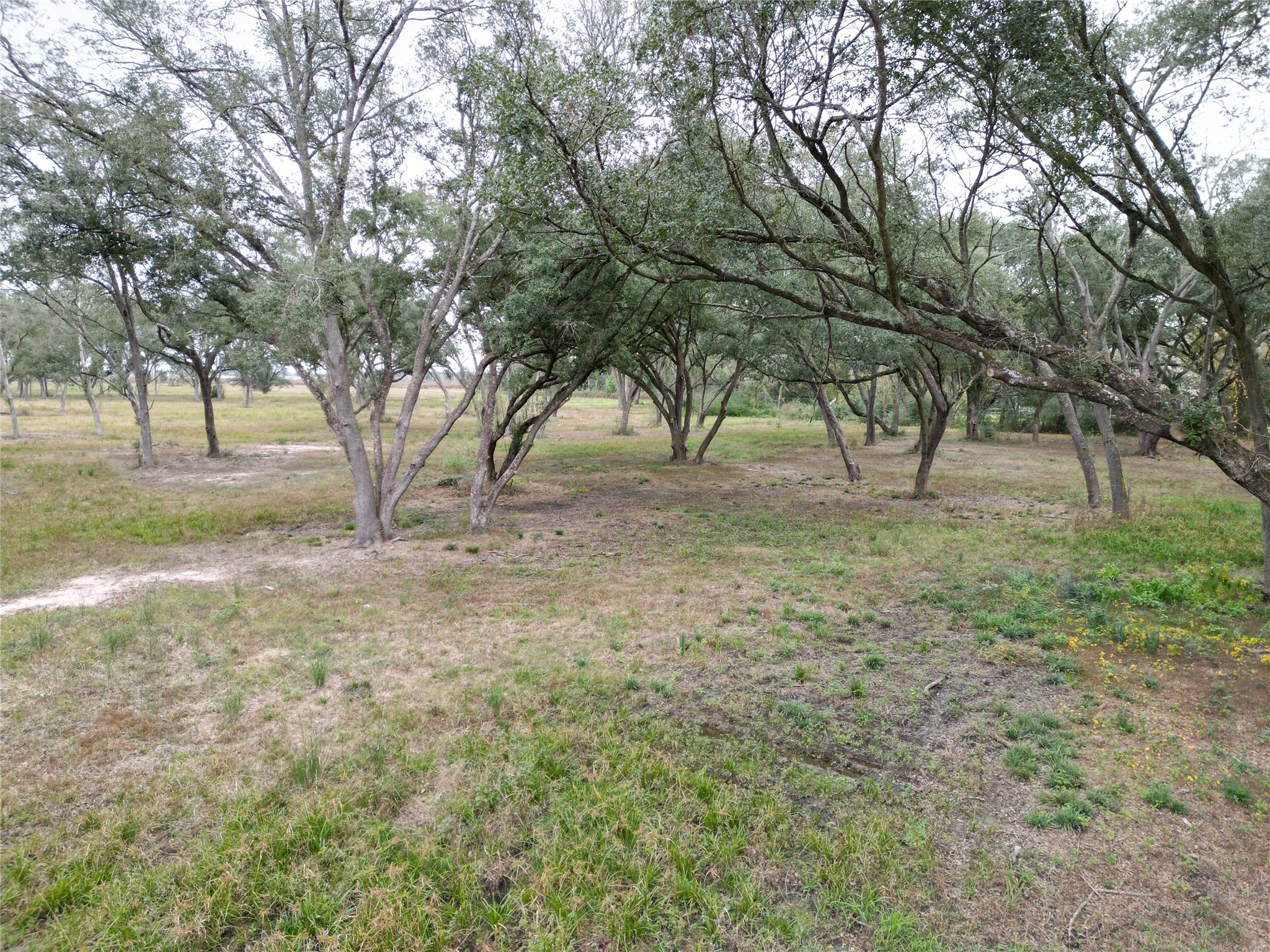 00 Runneburg Road Property Photo 31