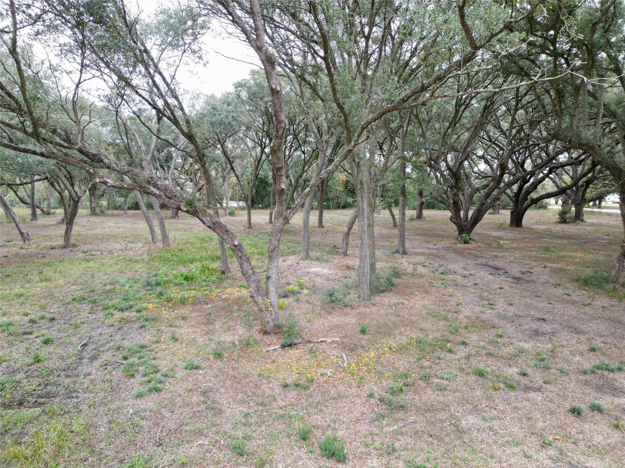 00 Runneburg Road Property Photo 32