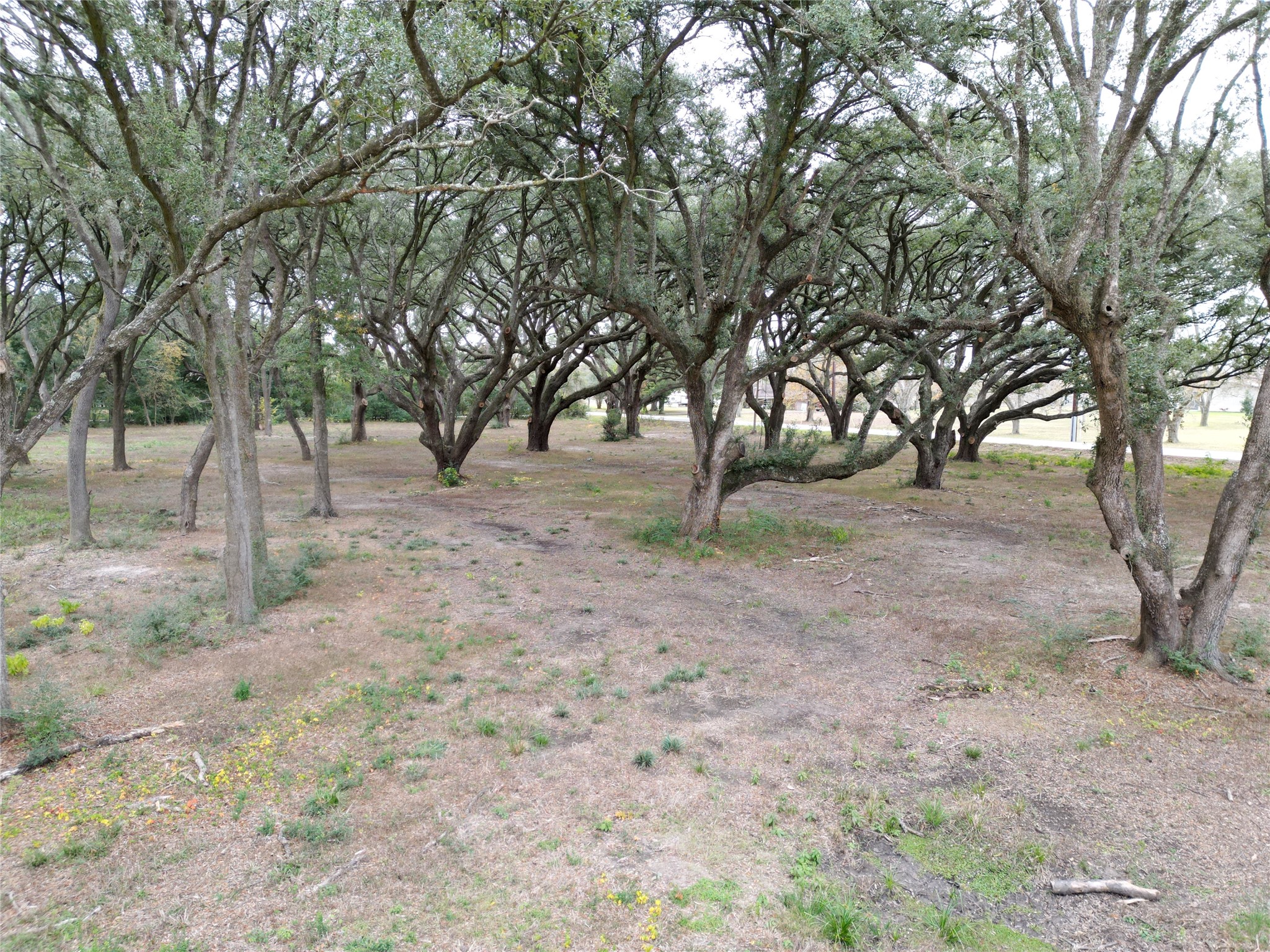 00 Runneburg Road Property Photo 35