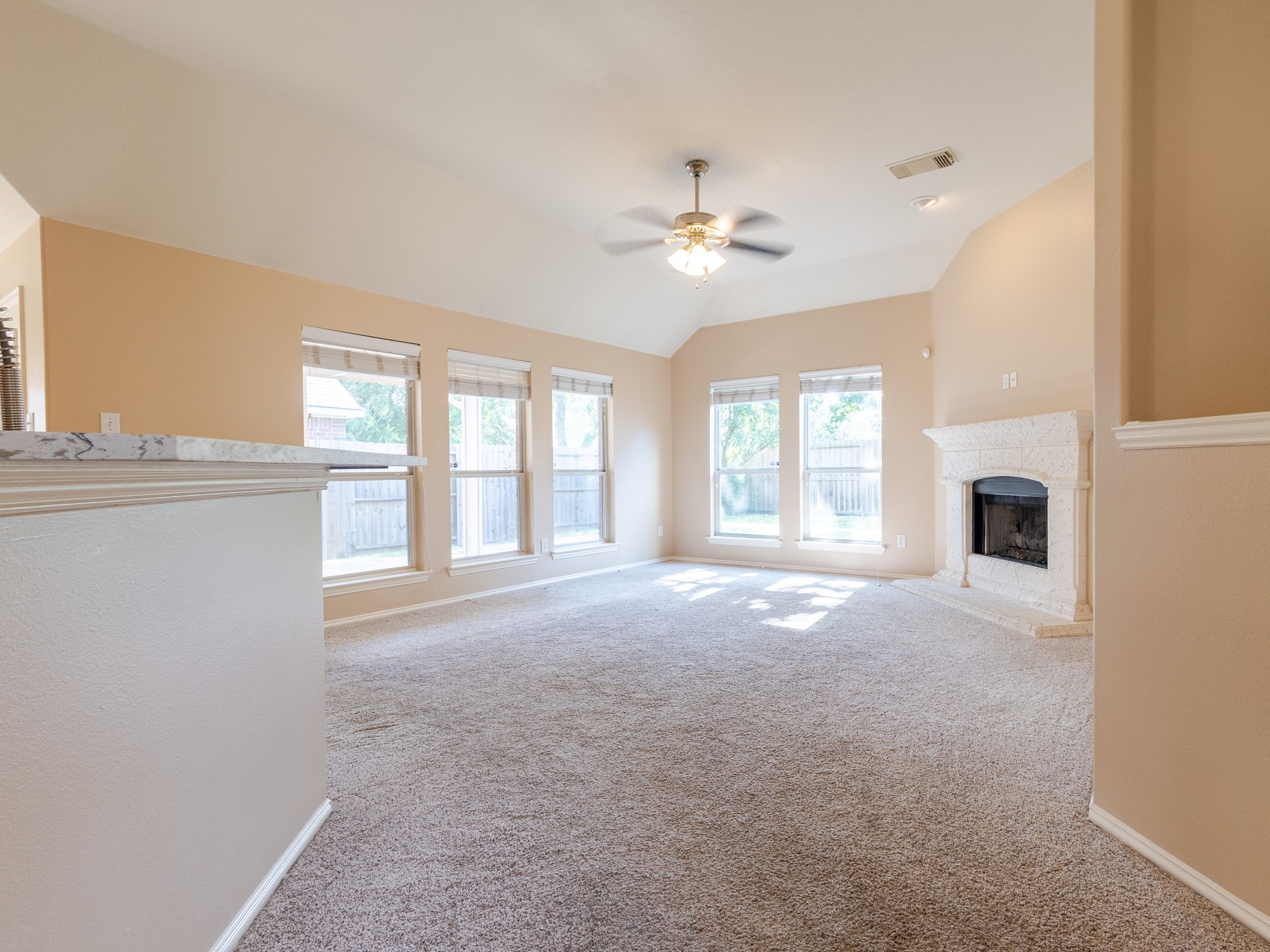 21318 Hannover Forest Property Photo 7
