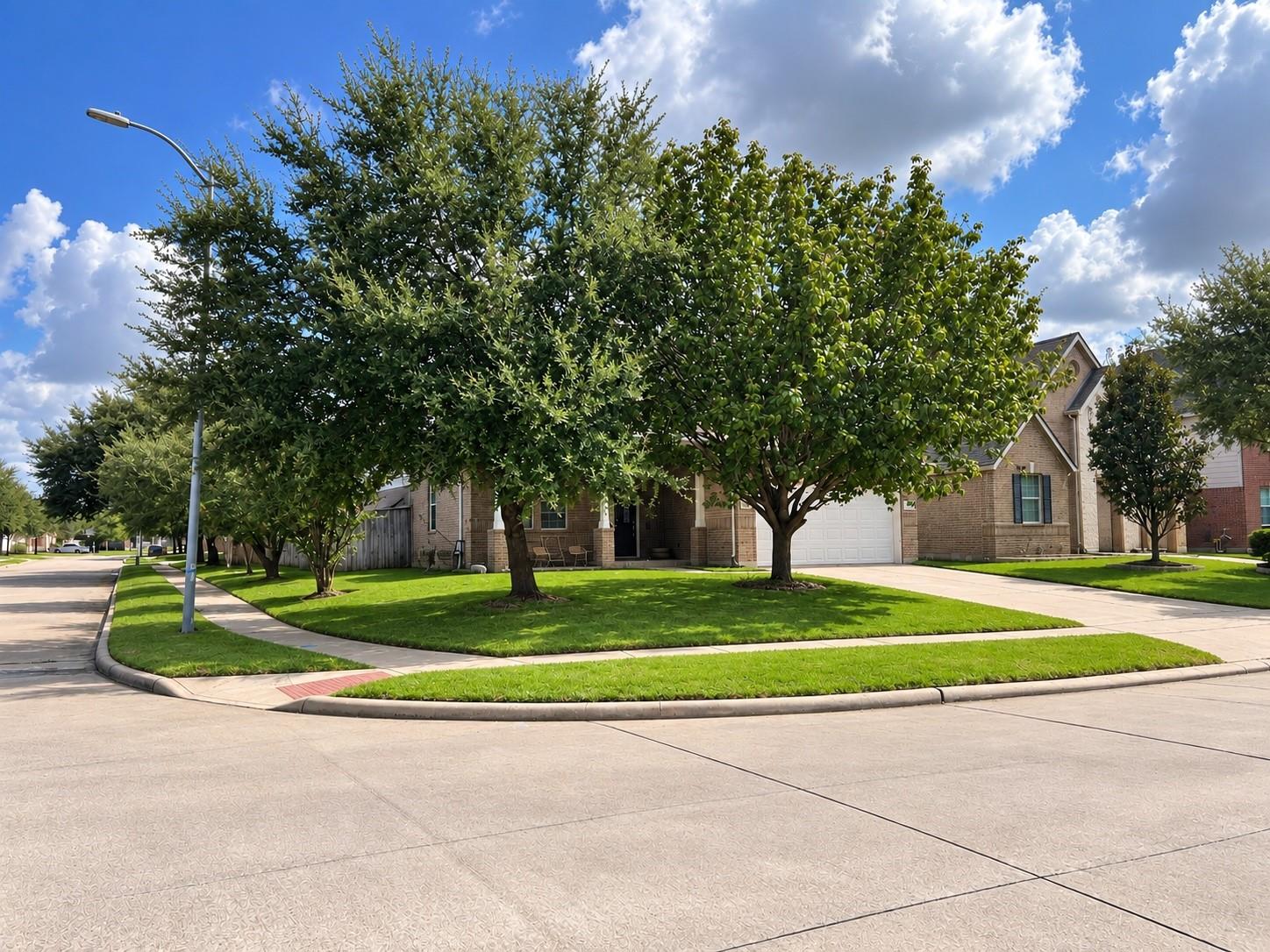 3627 Buchanan Hill Lane, Katy Tx 77494 Property Photo 6