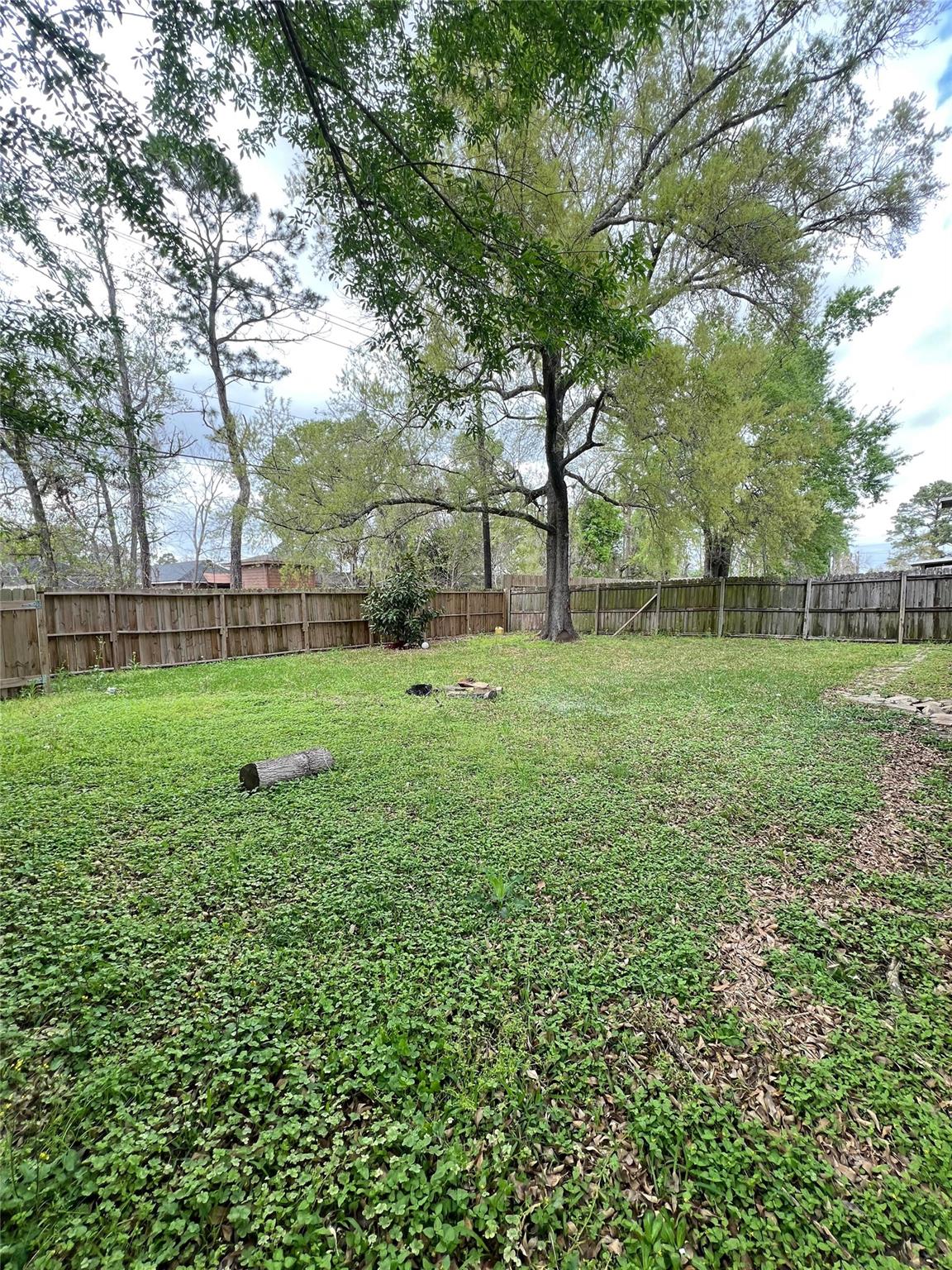 6231 Hollow Pines Drive, Houston Tx 77049 Property Photo 22