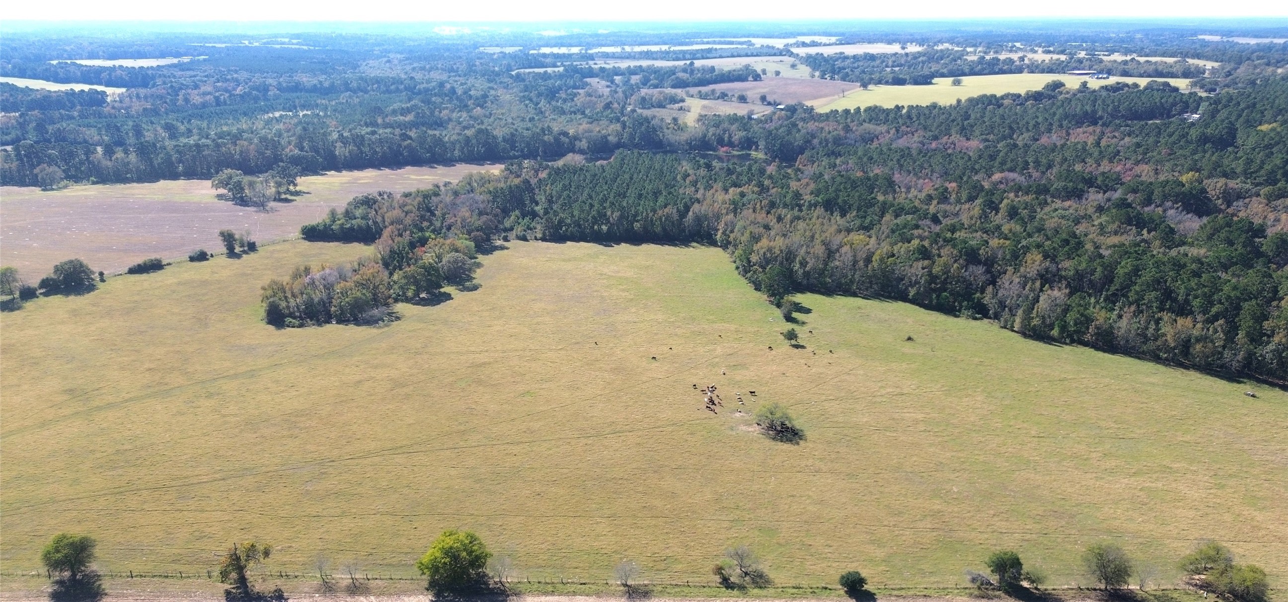 485 Private Road 6142 Property Photo 2