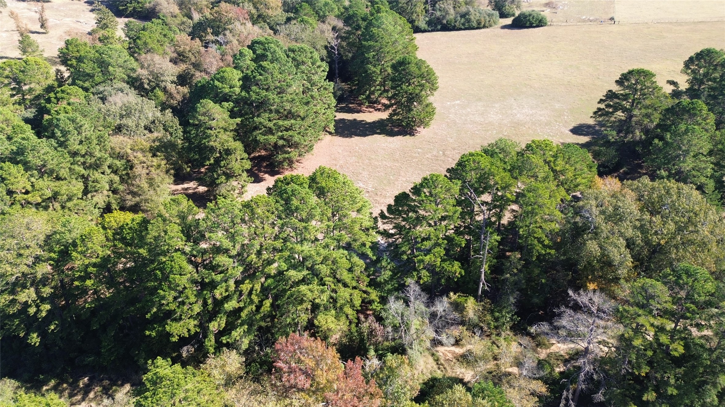 485 Private Road 6142 Property Photo 5