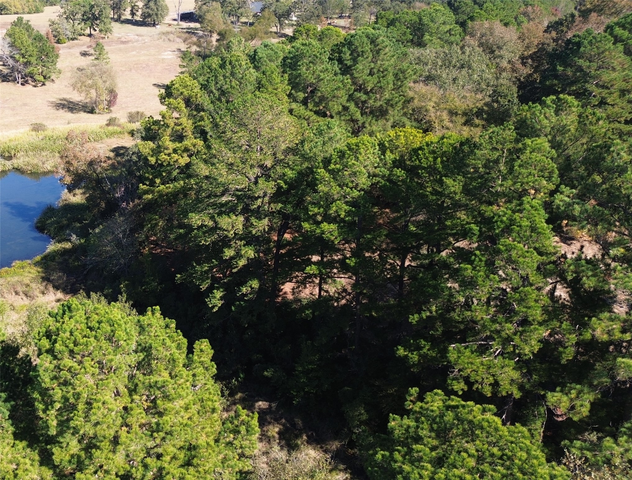 485 Private Road 6142 Property Photo 9