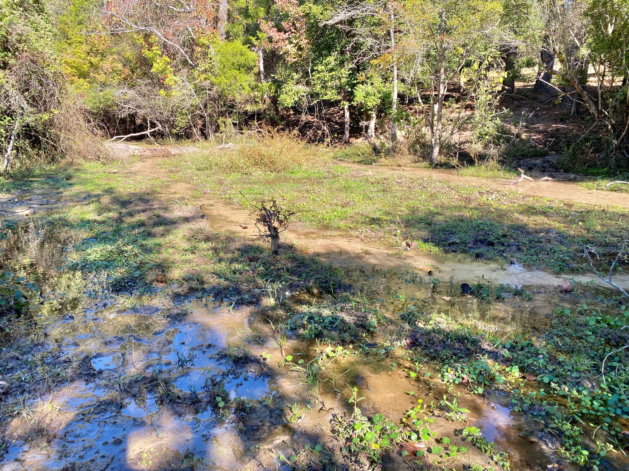 485 Private Road 6142 Property Photo 11