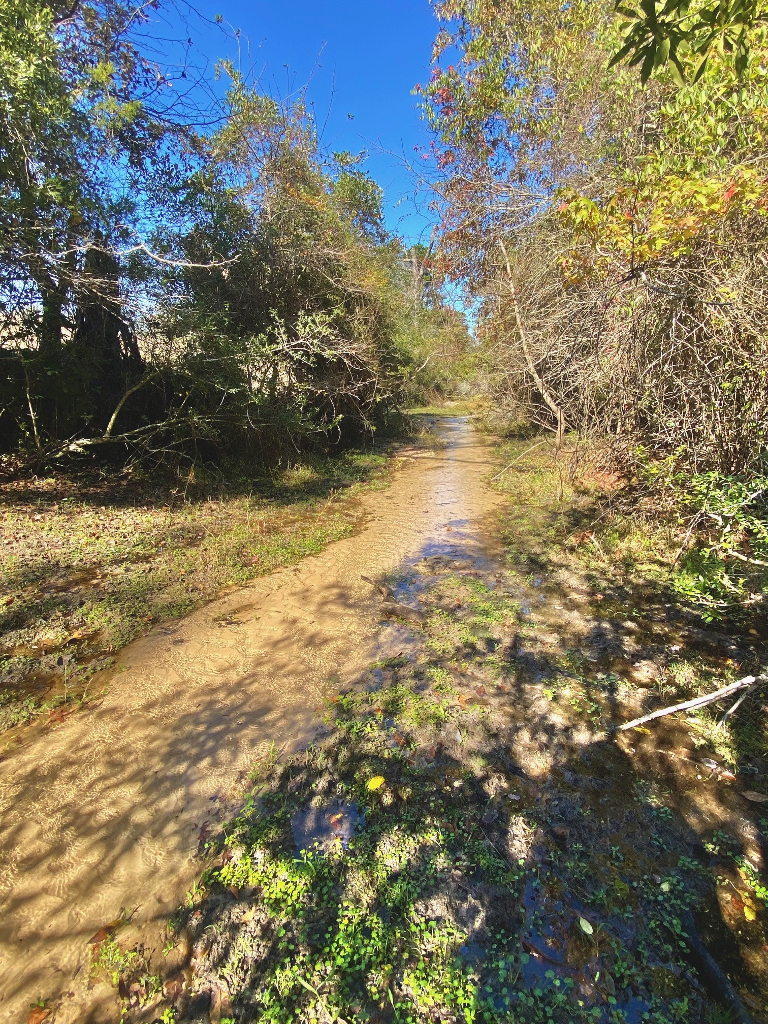 485 Private Road 6142 Property Photo 12