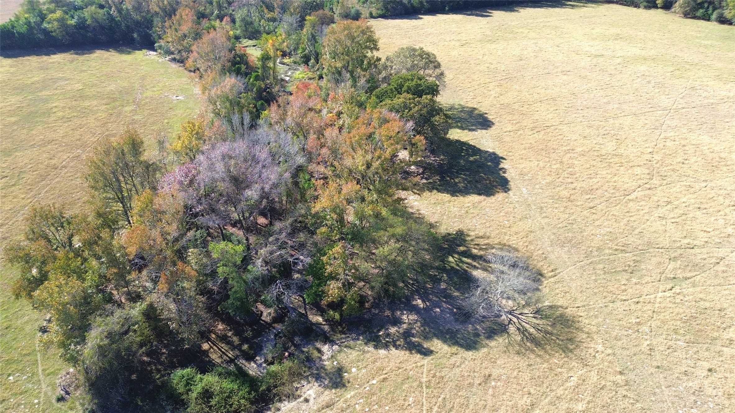 485 Private Road 6142 Property Photo 13