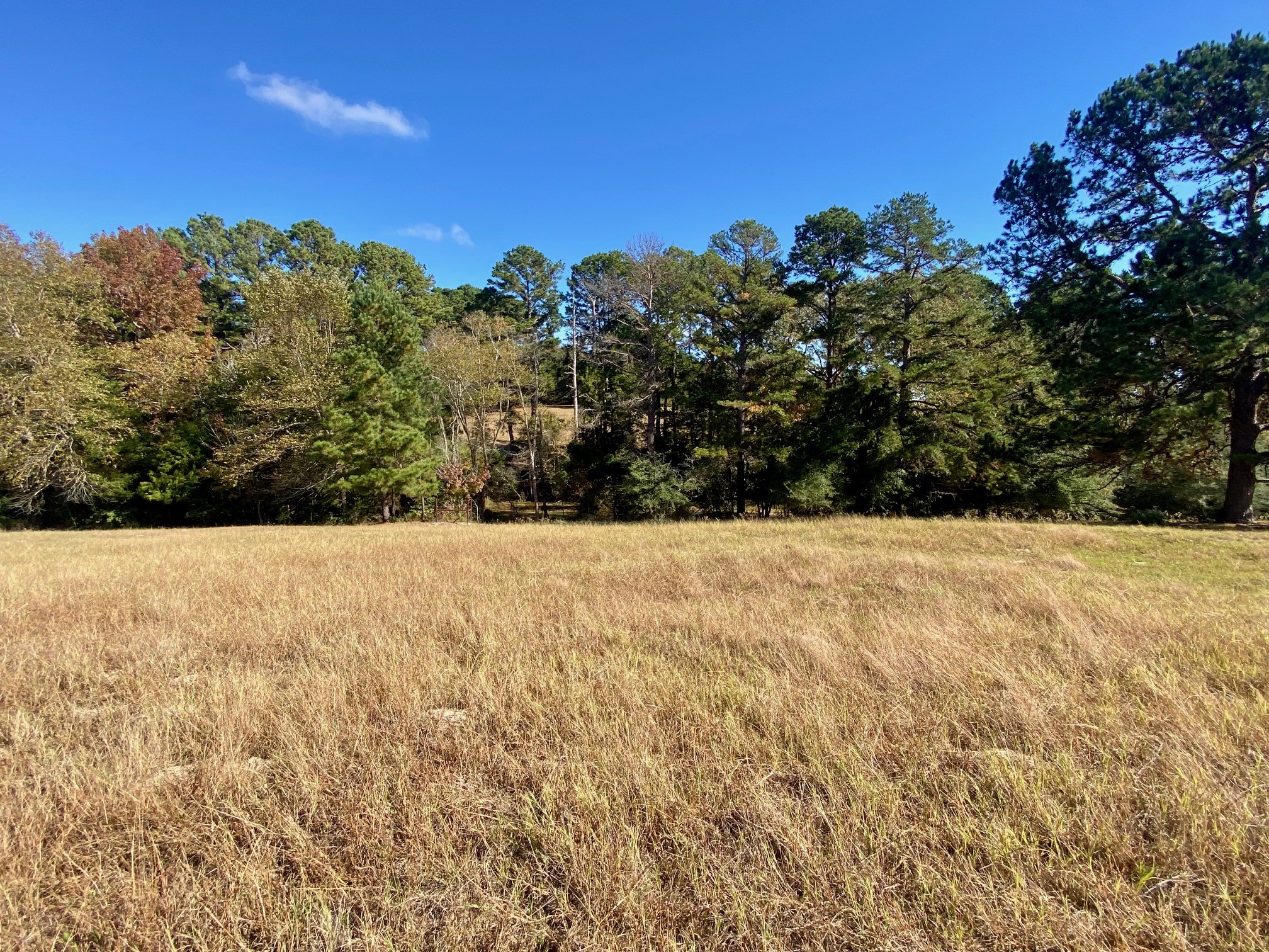 485 Private Road 6142 Property Photo 14