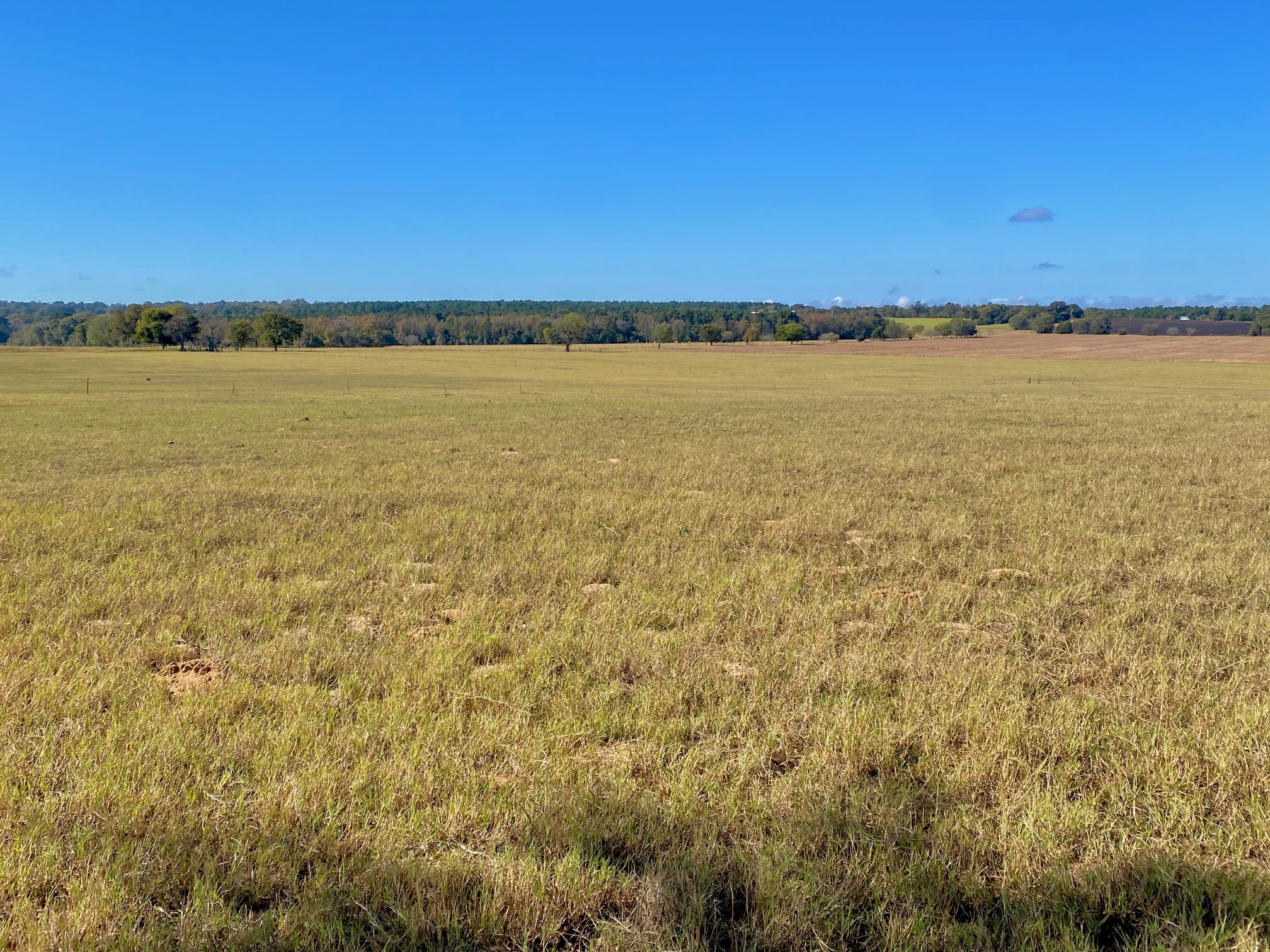 485 Private Road 6142 Property Photo 28