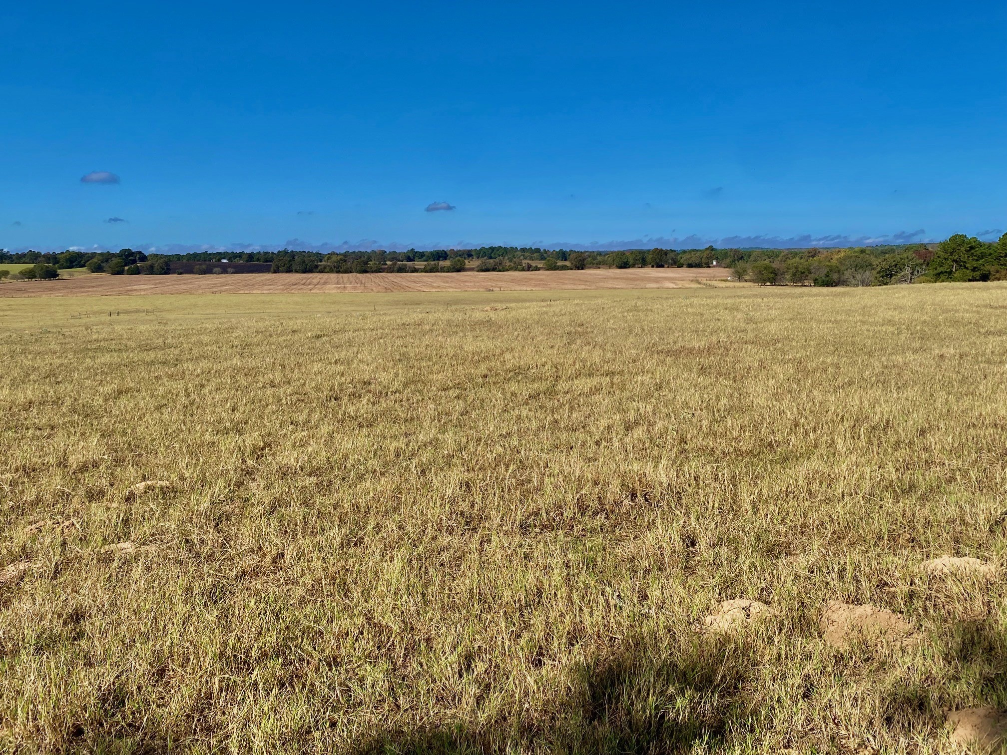 485 Private Road 6142 Property Photo 29