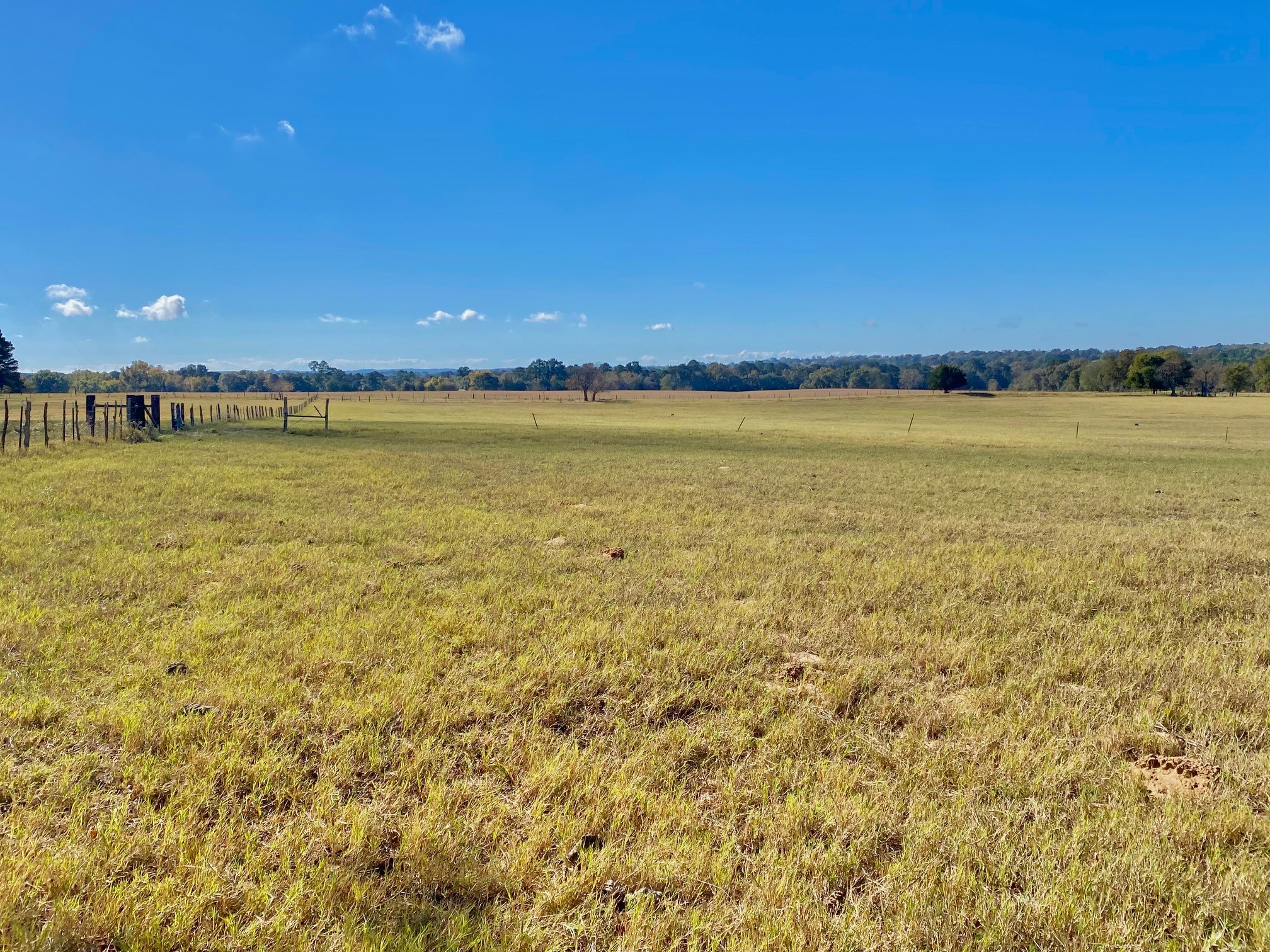 485 Private Road 6142 Property Photo 30