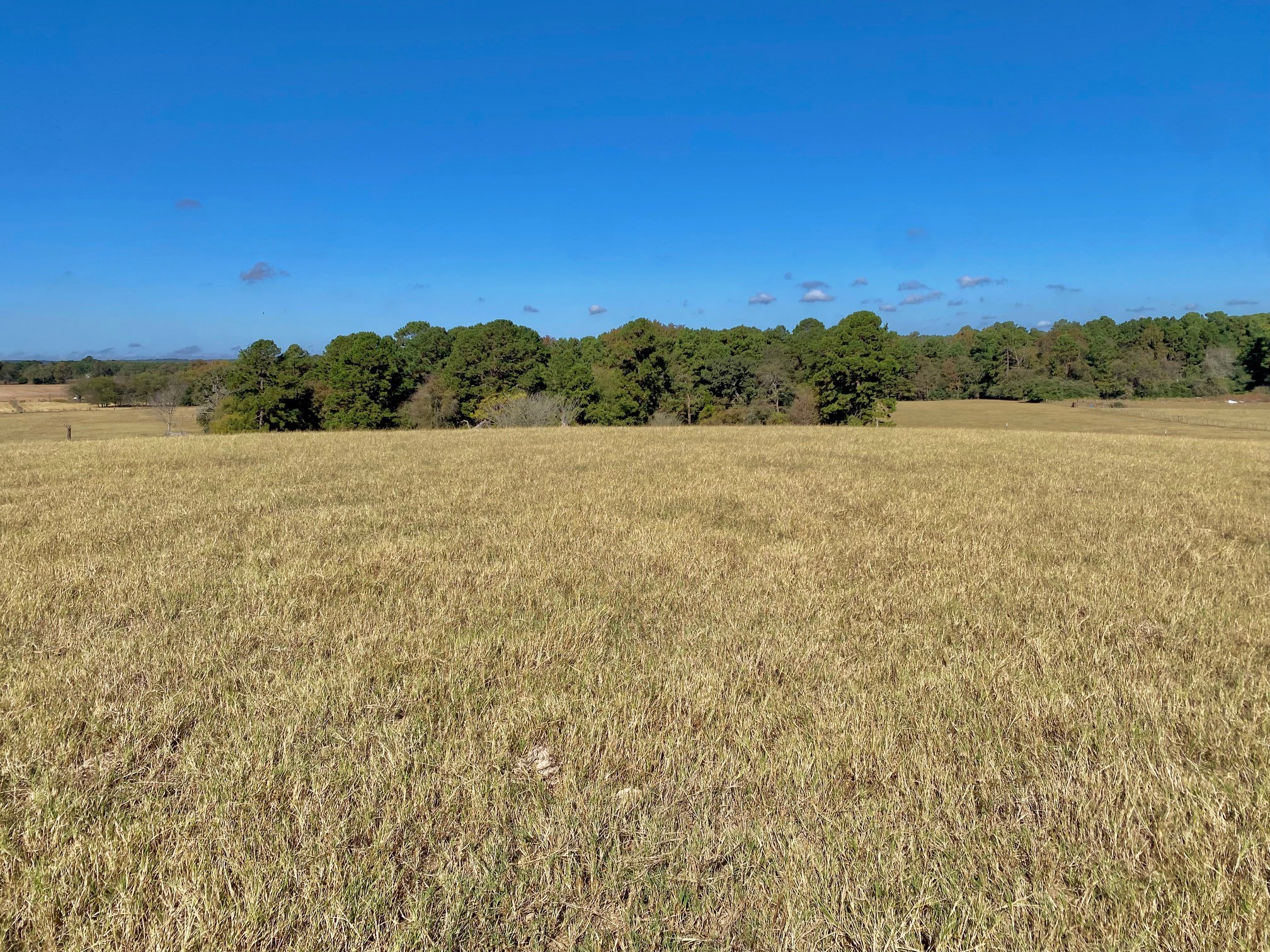 485 Private Road 6142 Property Photo 31