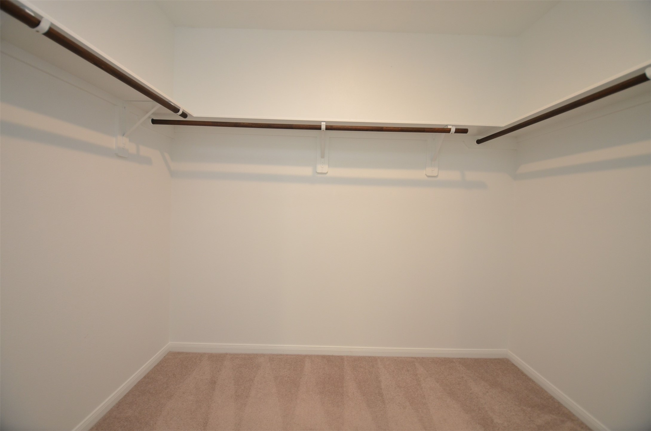 16412 Big Hickory Dr Property Photo 12