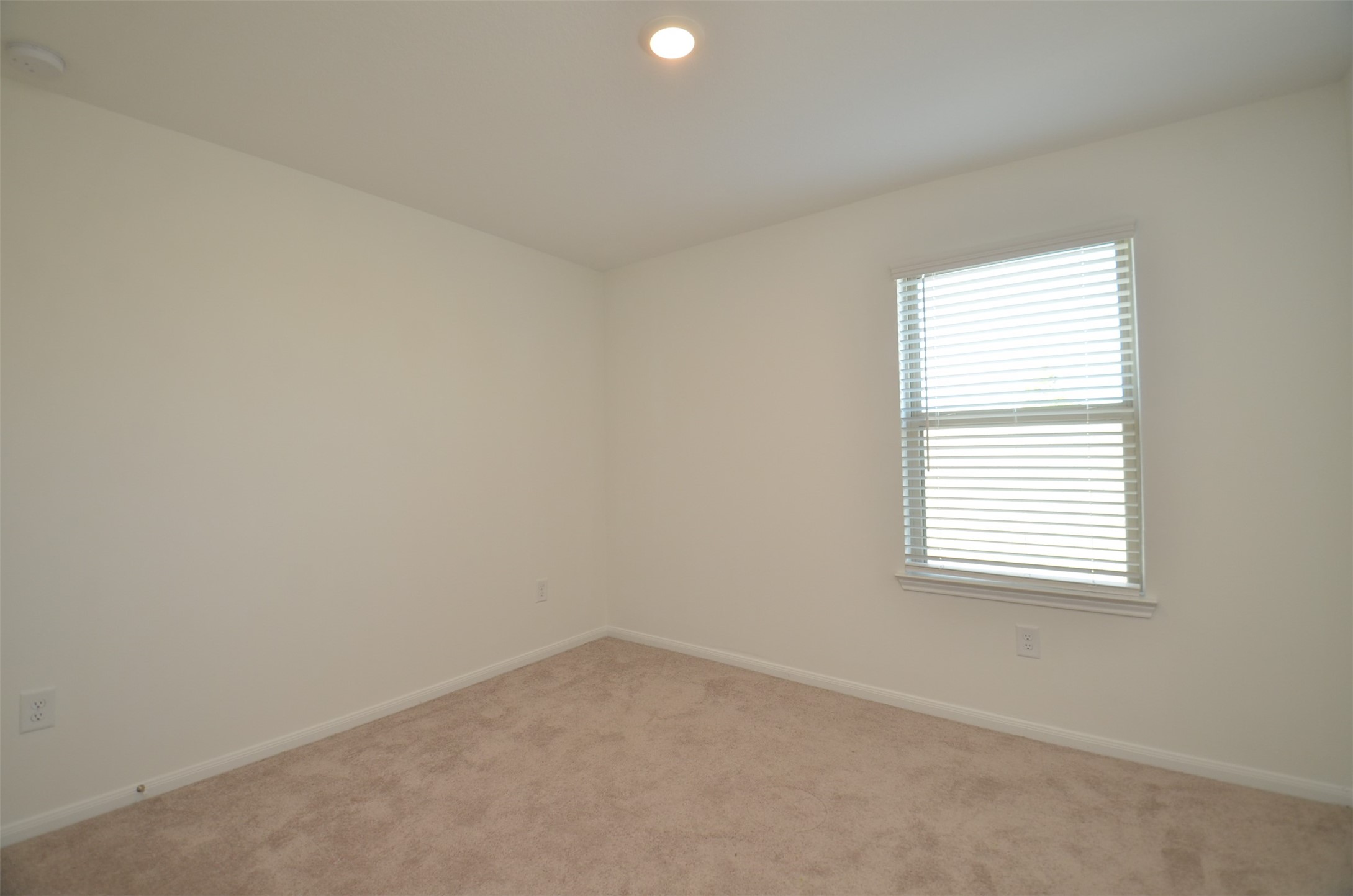 16412 Big Hickory Dr Property Photo 13