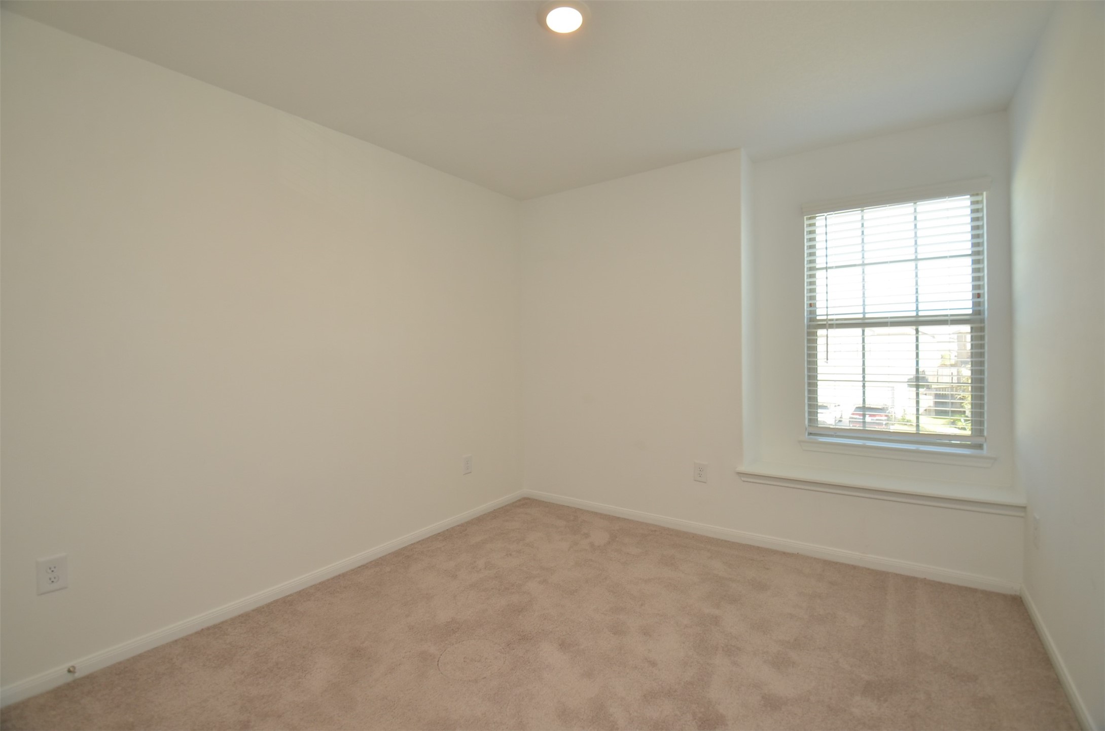 16412 Big Hickory Dr Property Photo 14