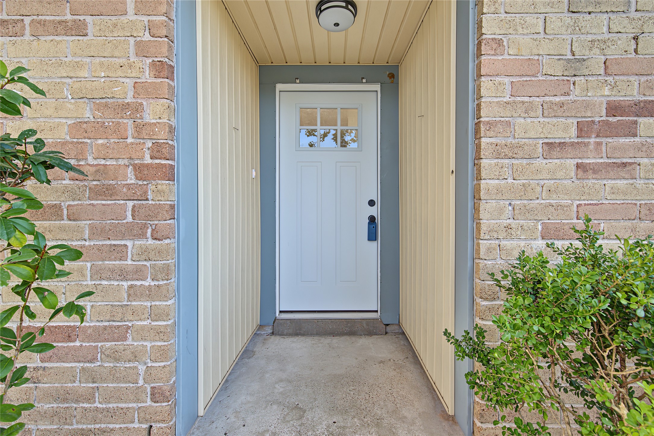 9912 Blue Bird Street Property Photo 3