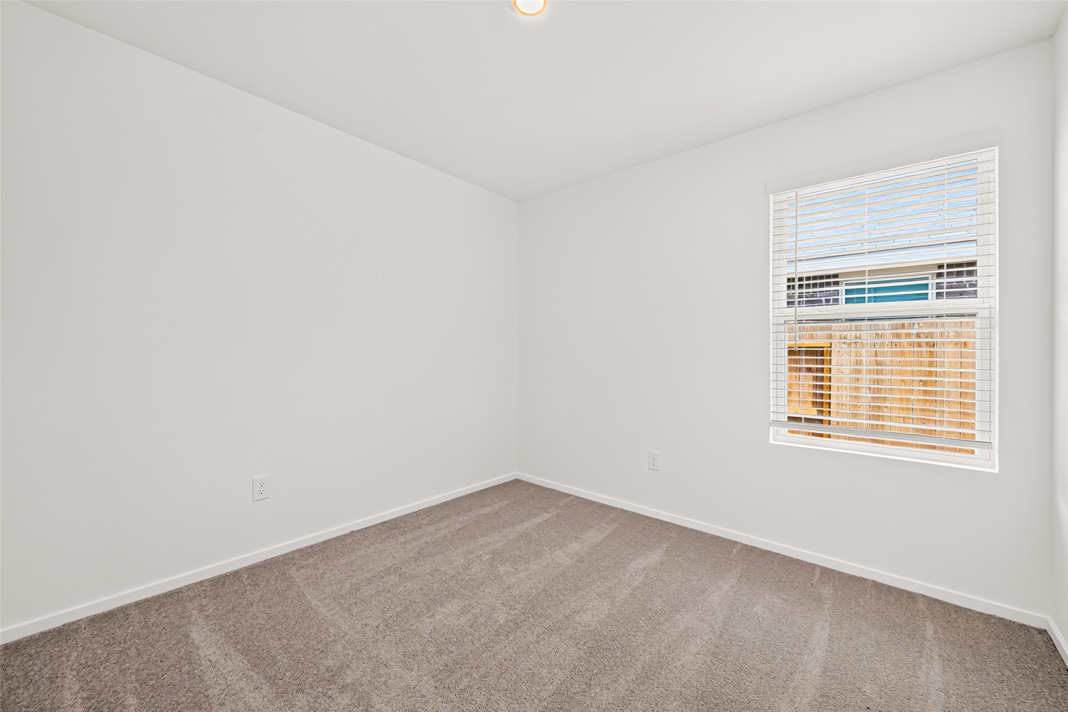 26819 Vanilla Pearls Lane Property Photo 23