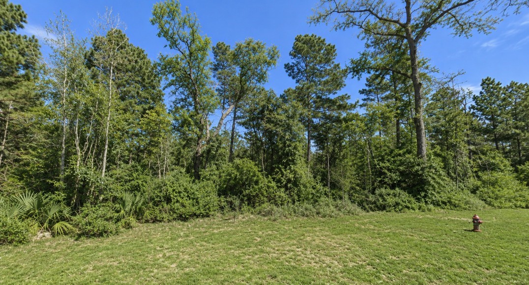 238 Sky Oak Lane Property Photo 2