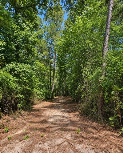 238 Sky Oak Lane Property Photo 8