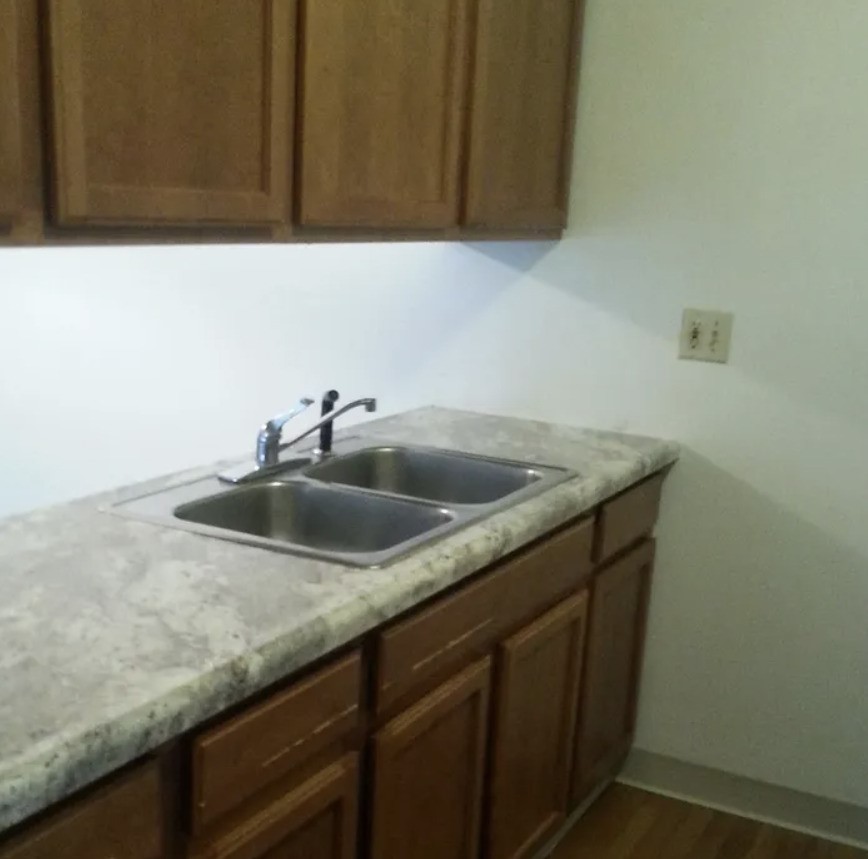 300 Sand Hill Manor Drive Property Photo 5