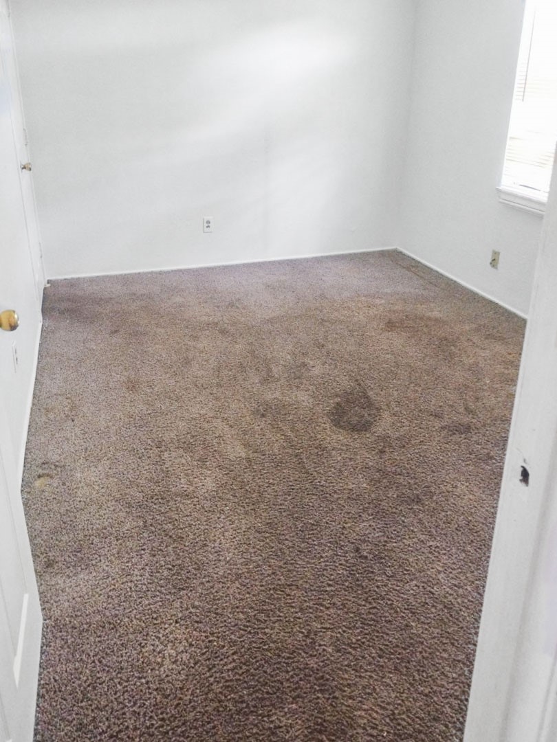 4423 Holloway Drive Property Photo 18