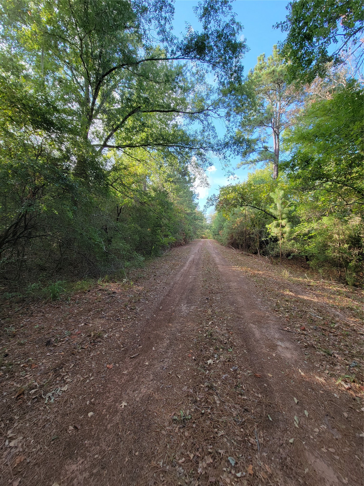 Tbd Grey Wolf Dr Property Photo 3