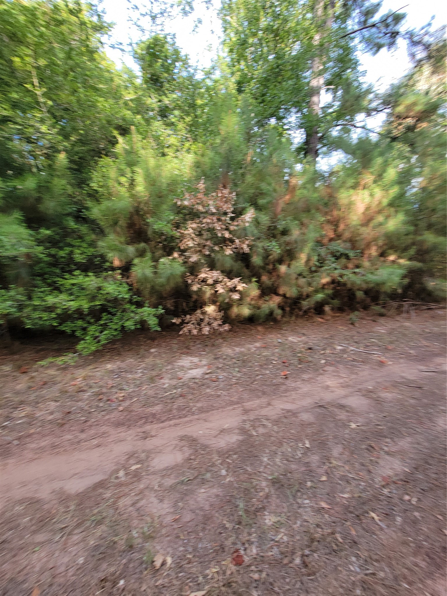 Tbd Grey Wolf Dr Property Photo 4