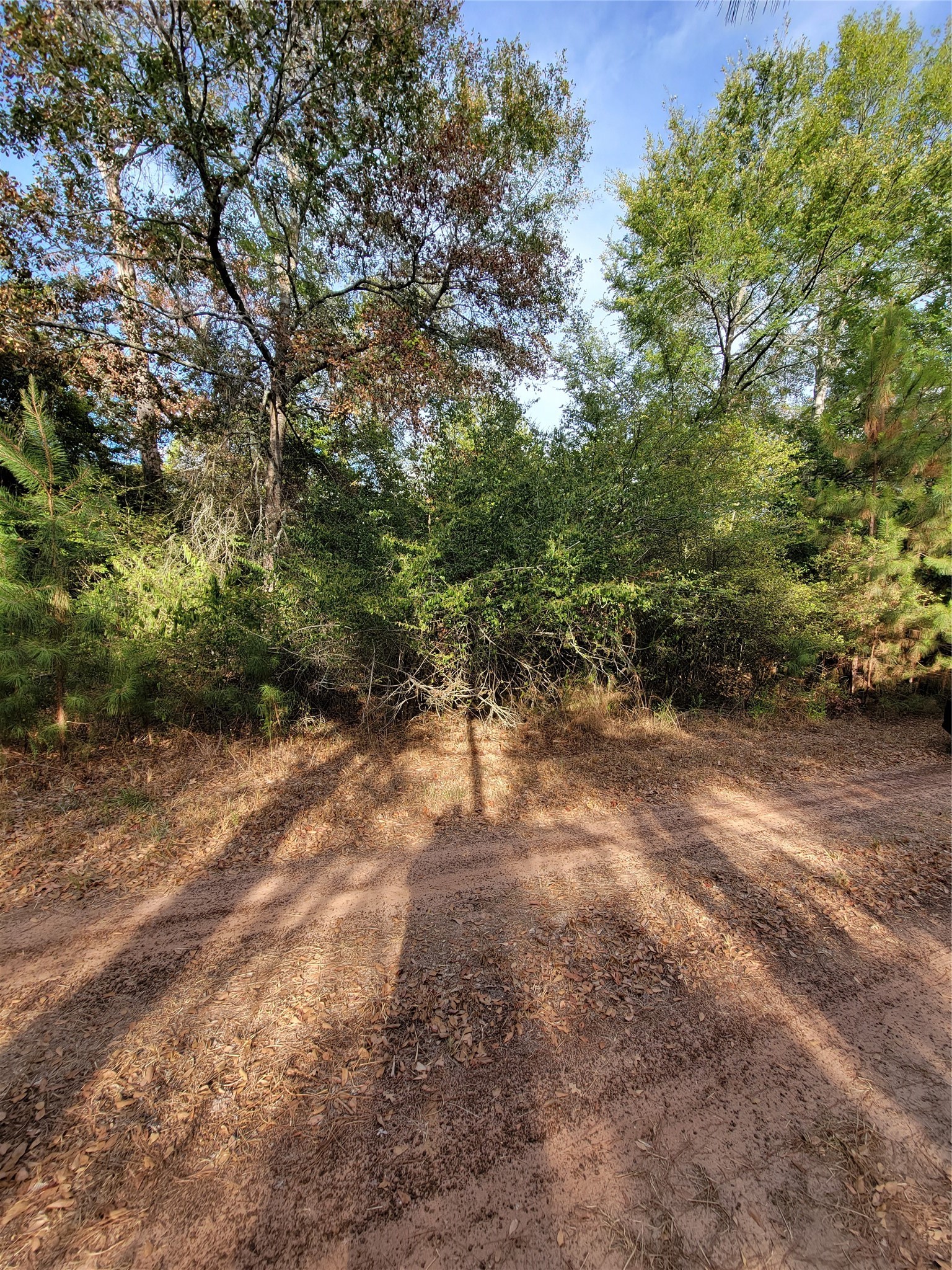 Tbd Grey Wolf Dr Property Photo 5