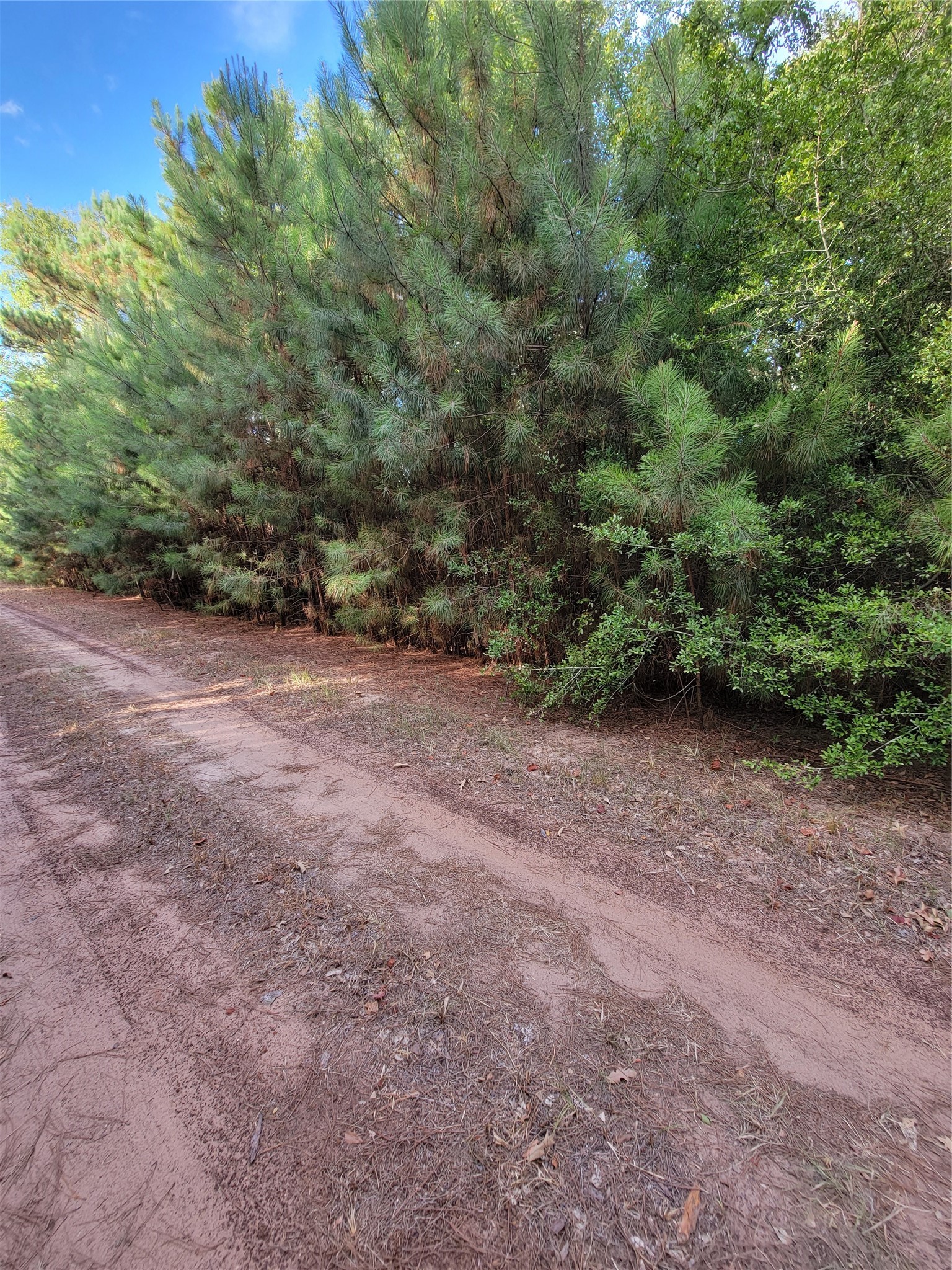 Tbd Grey Wolf Dr Property Photo 6