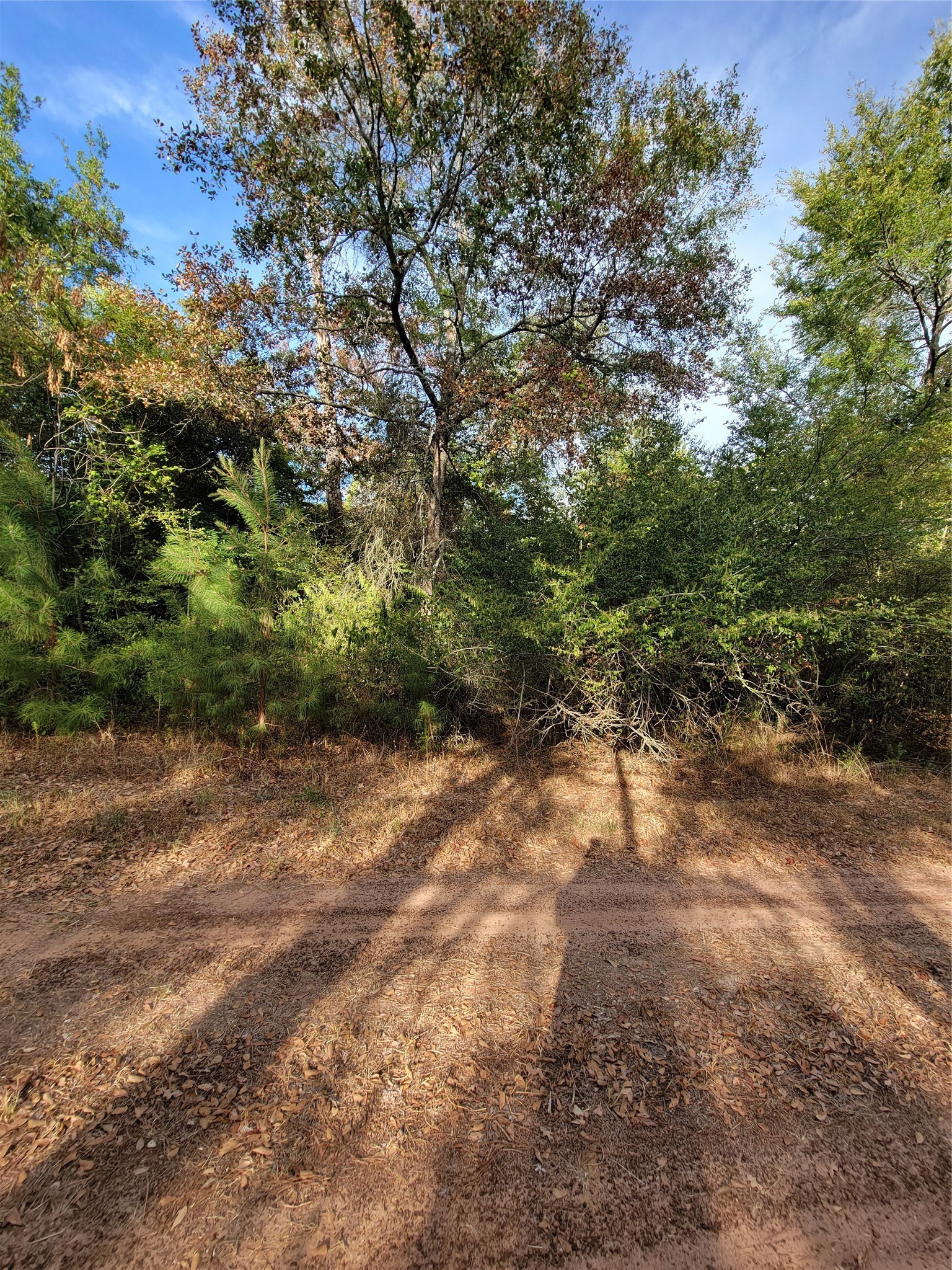 Tbd Grey Wolf Dr Property Photo 8