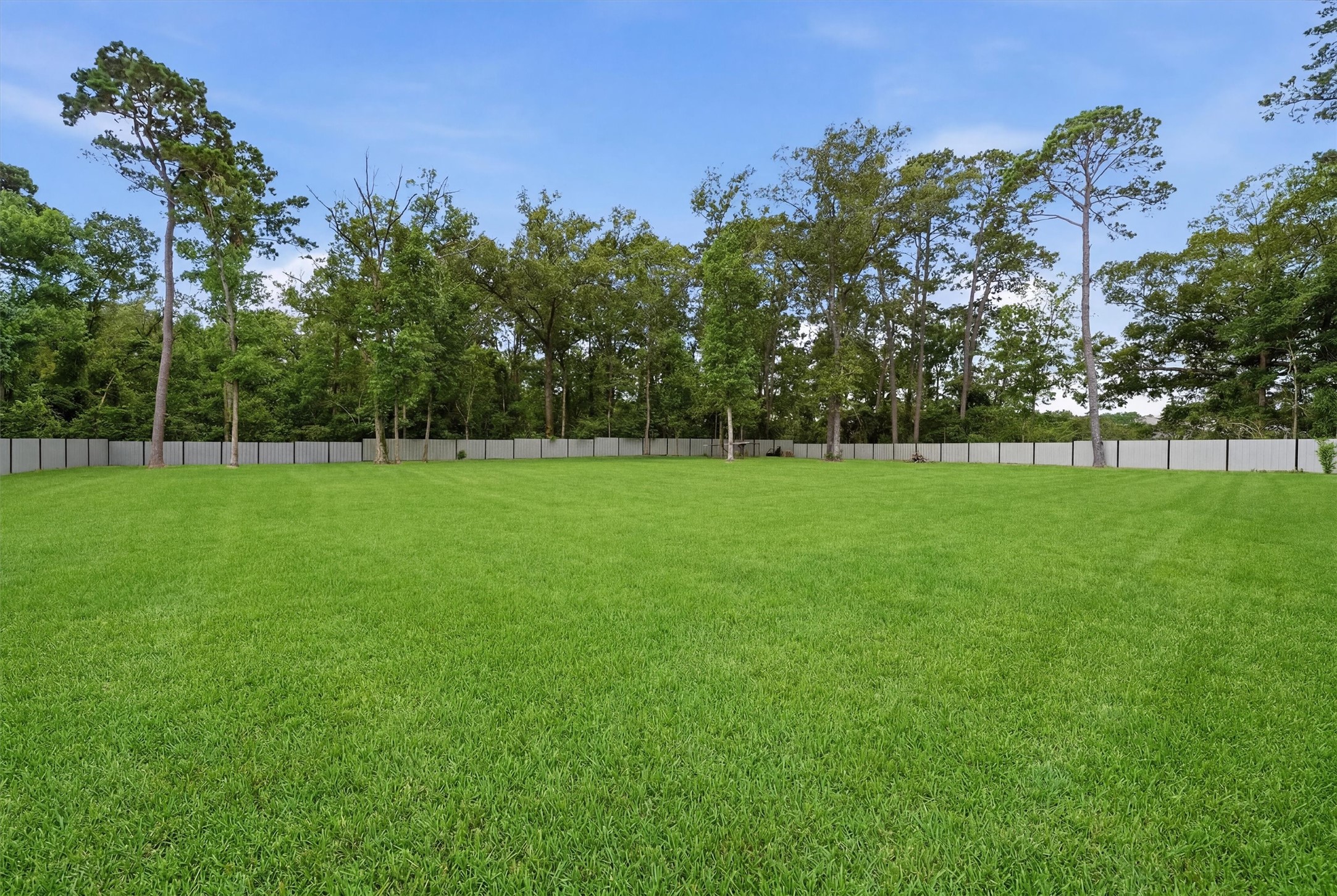 1165 Fm 1725 Road Property Photo 24