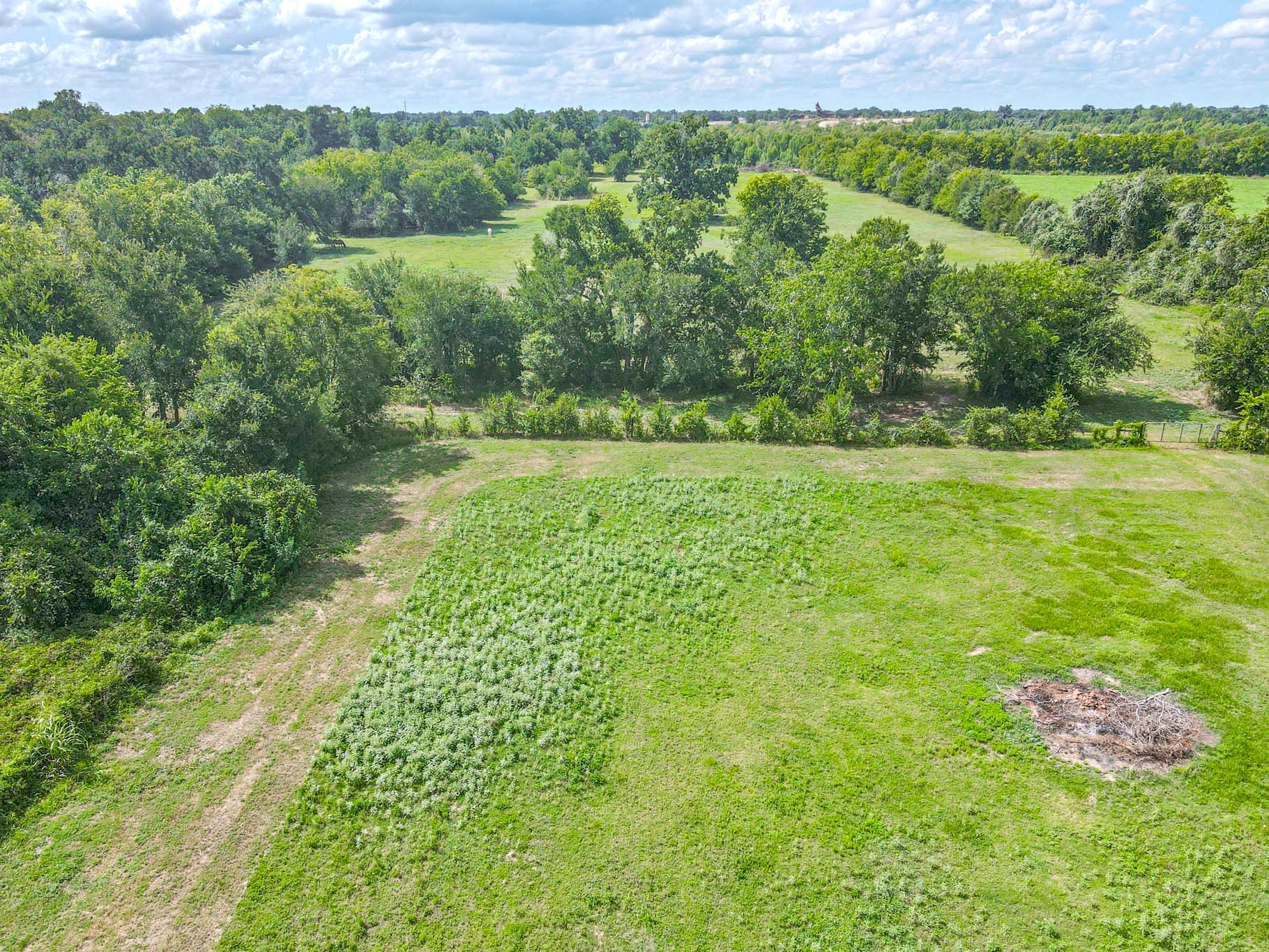 0 Buckskin Road Property Photo 6