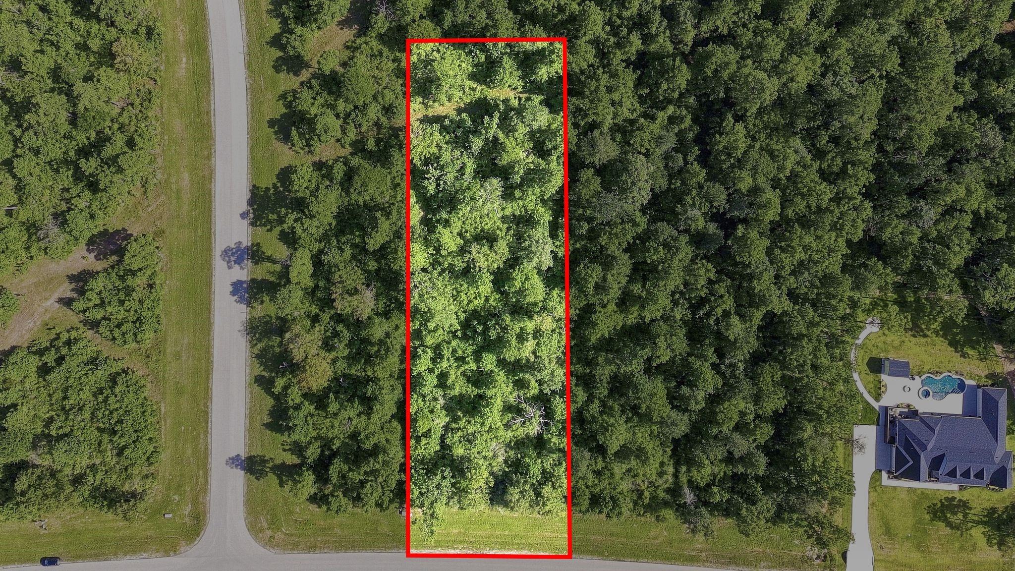 294 Iron Horse Road, Willis TX 77378 Property Photo 1