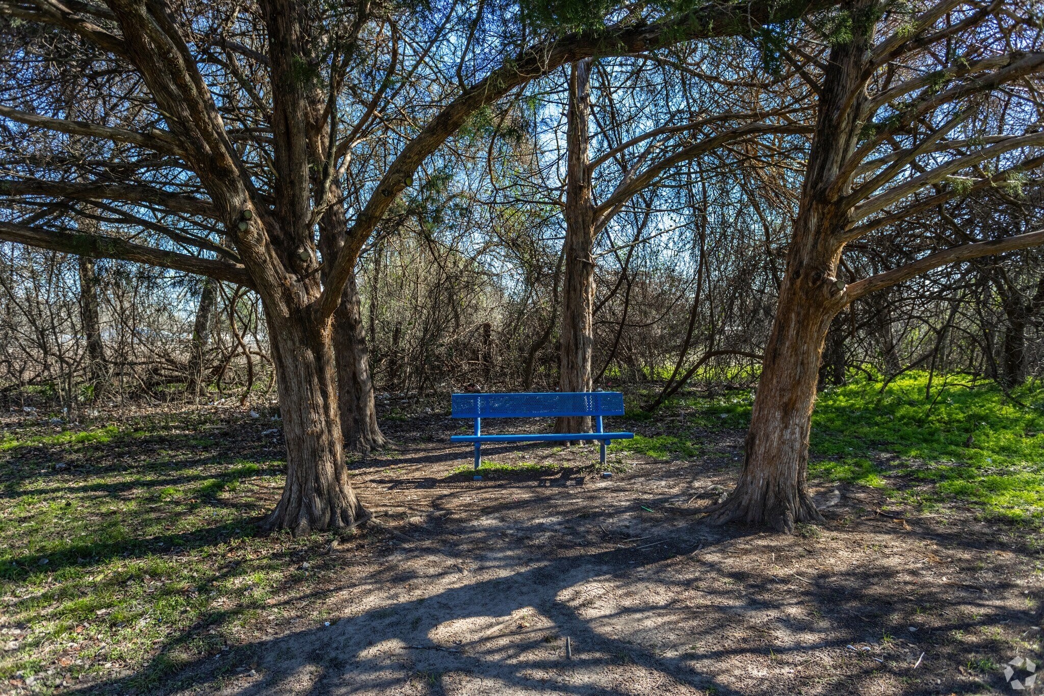 520 Laredo St Property Photo 8