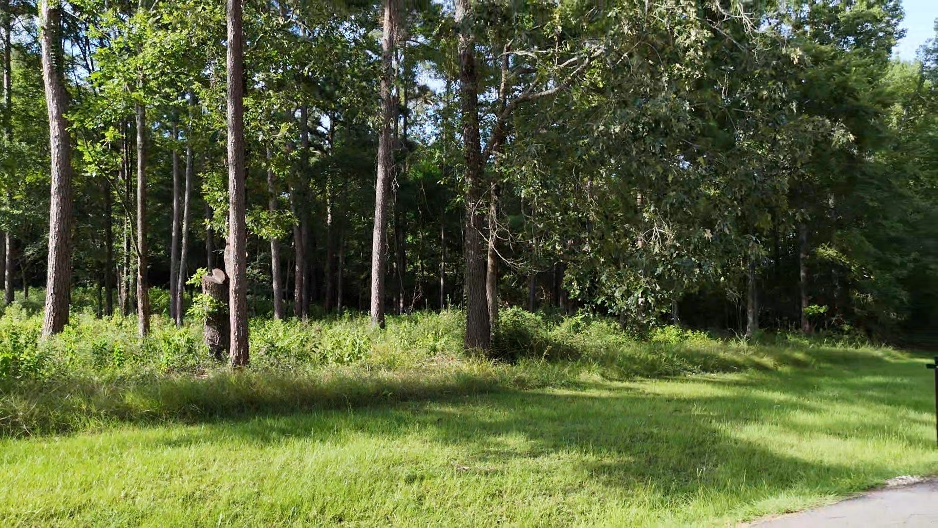 035 Naples Way Property Photo 11