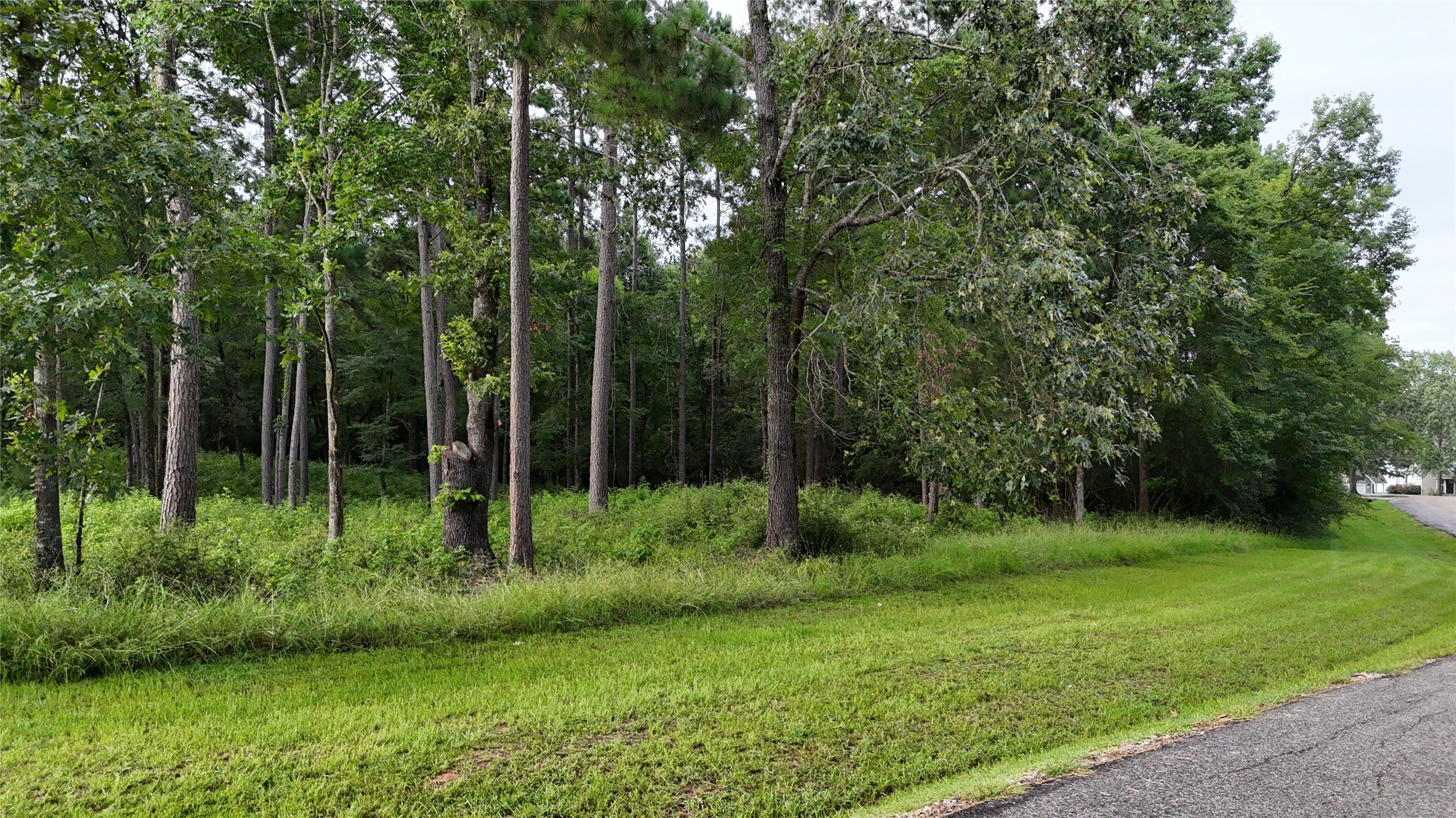 035 Naples Way Property Photo 12
